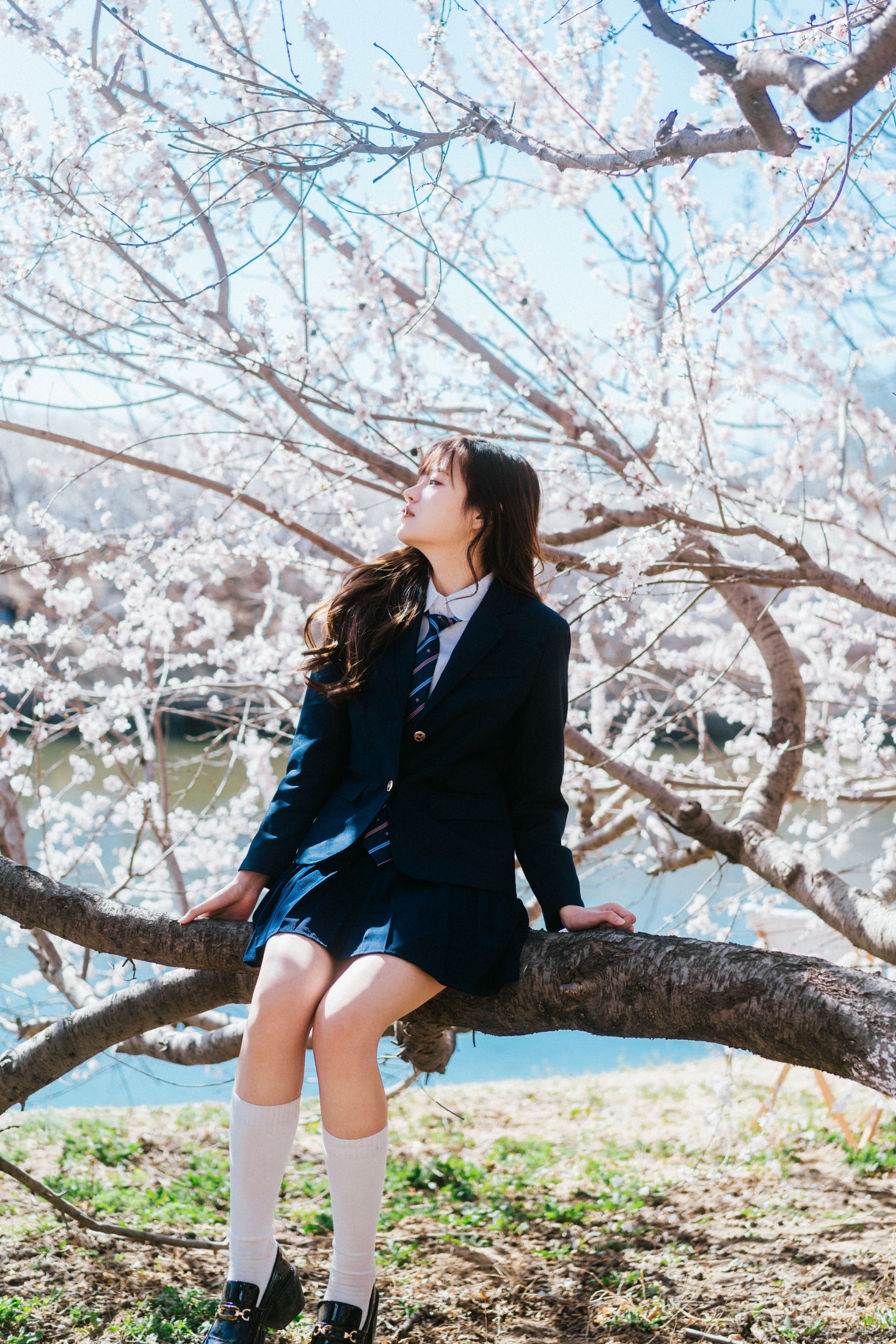 苏闪闪 – 《花与少女》[29P]