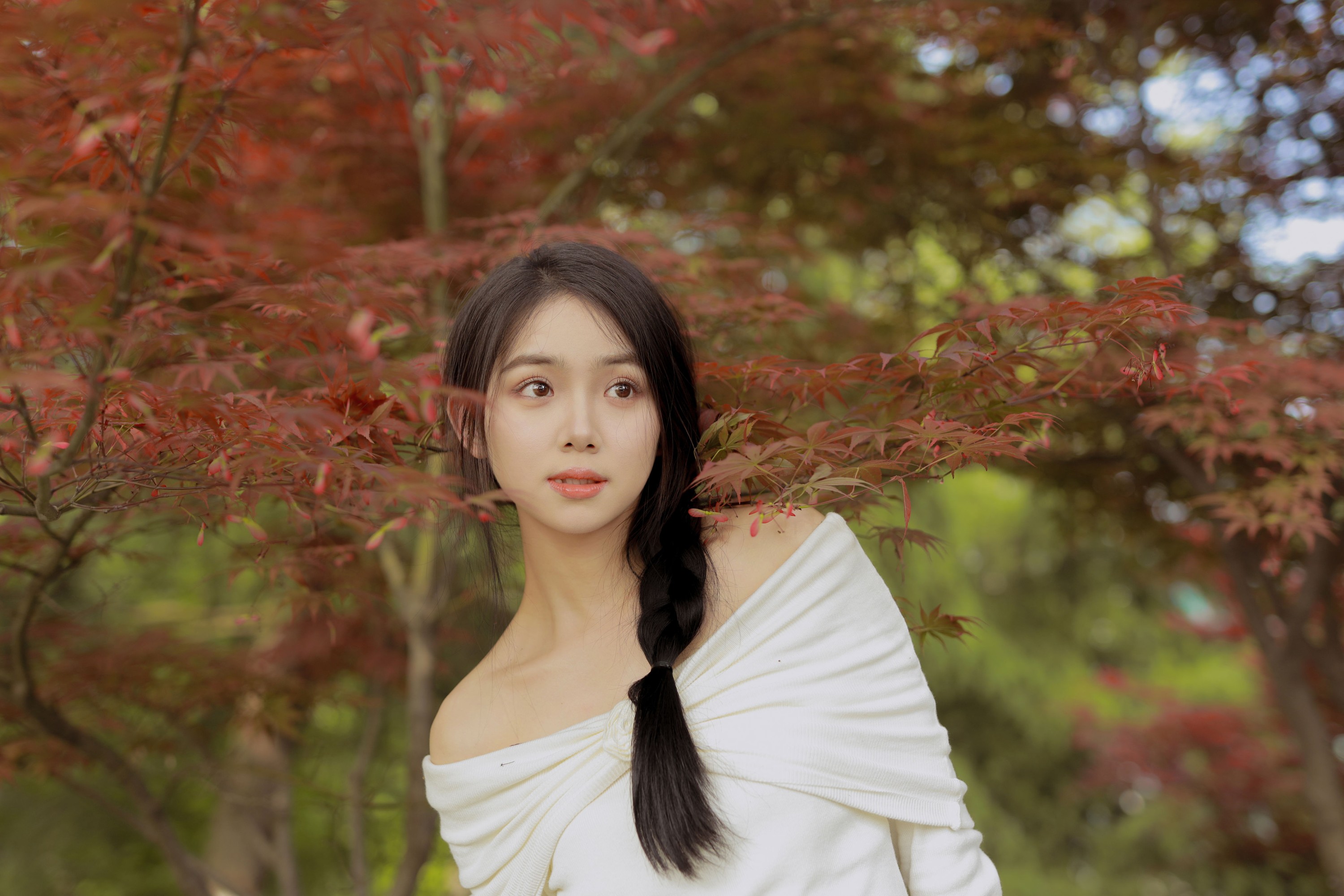 我不刷鸟 – 《红叶季节》[28P]