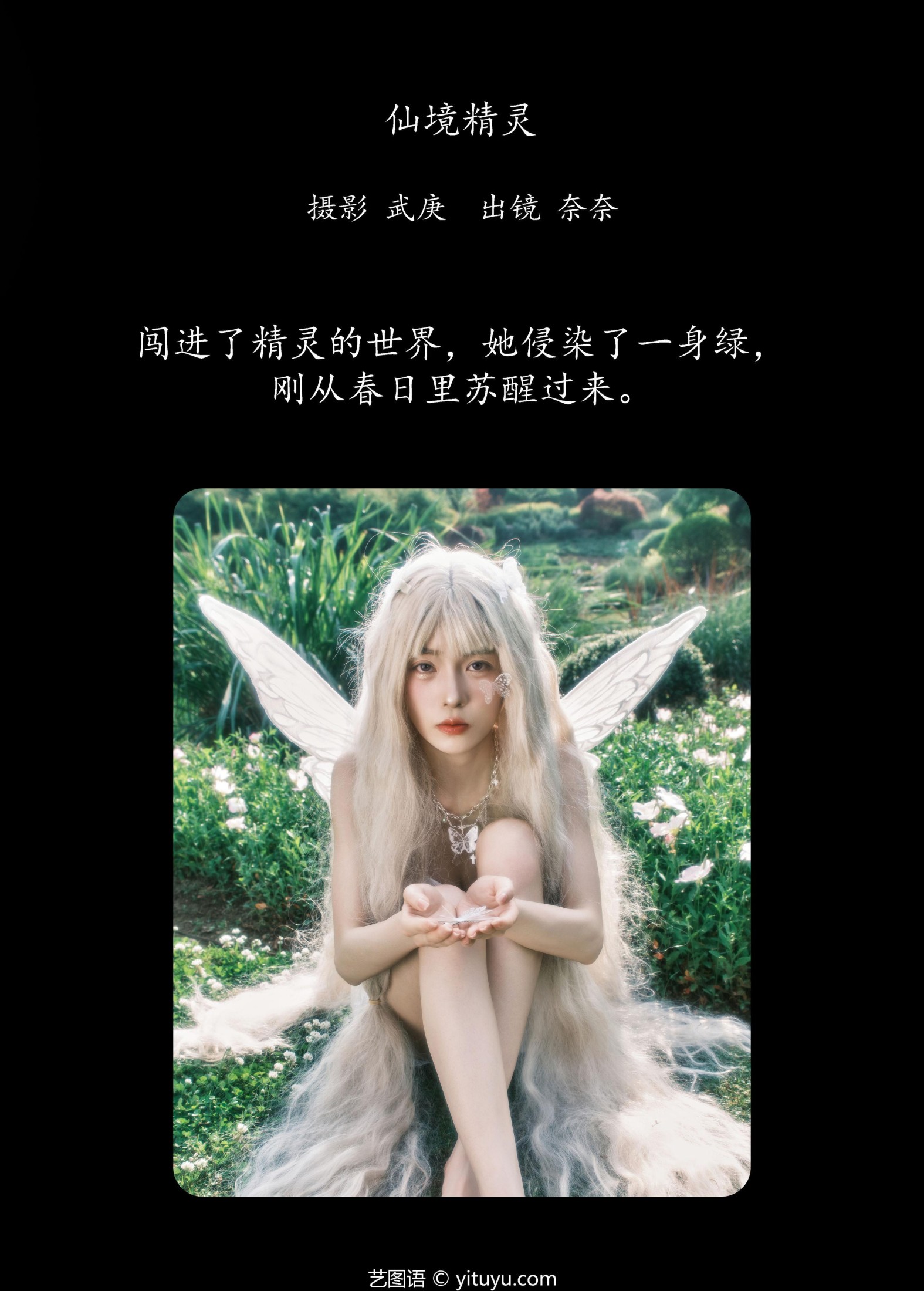 小松麻奈 – 《仙境精灵》[36P]