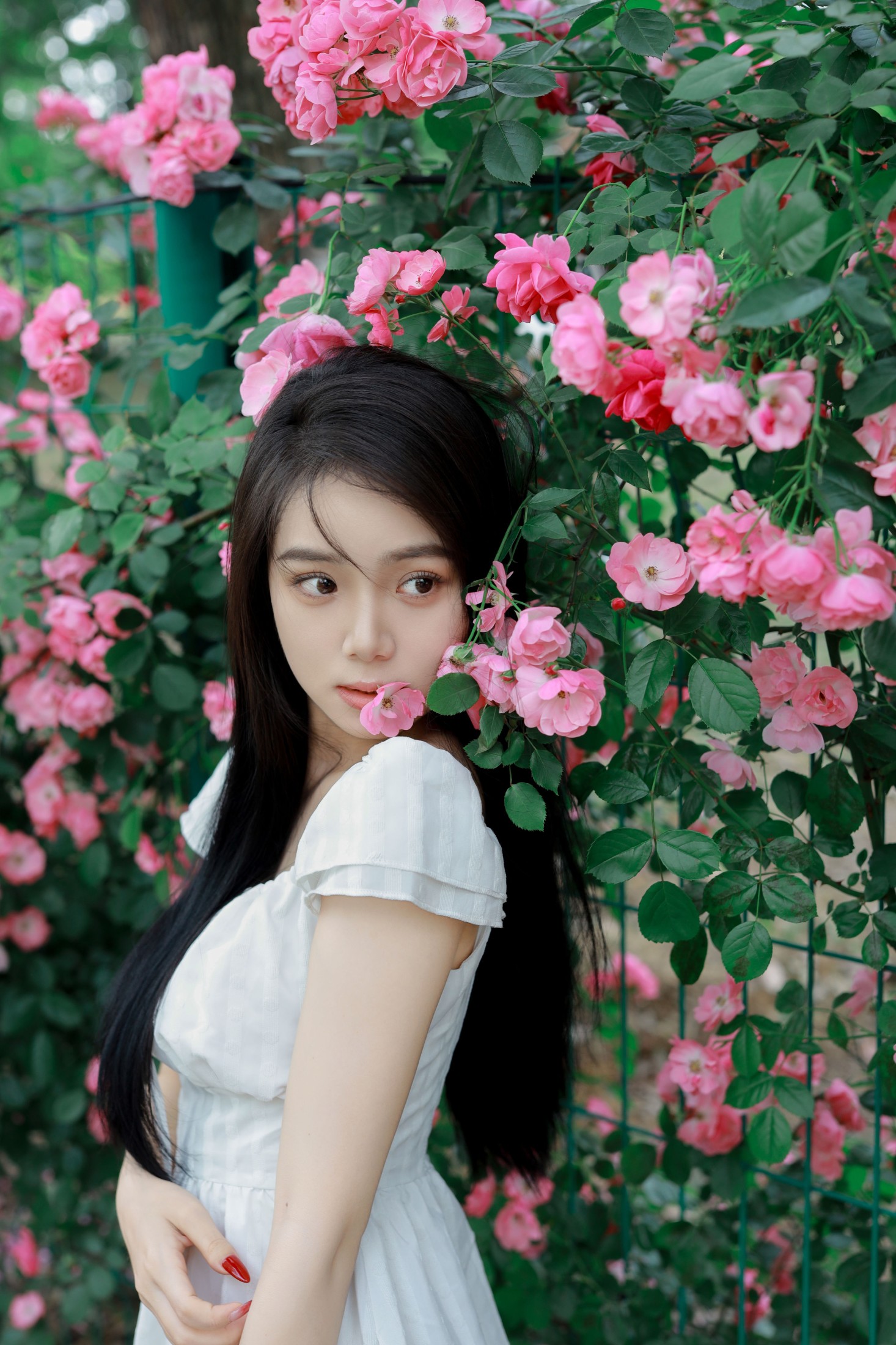 我不刷鸟 – 《花墙》[26P]