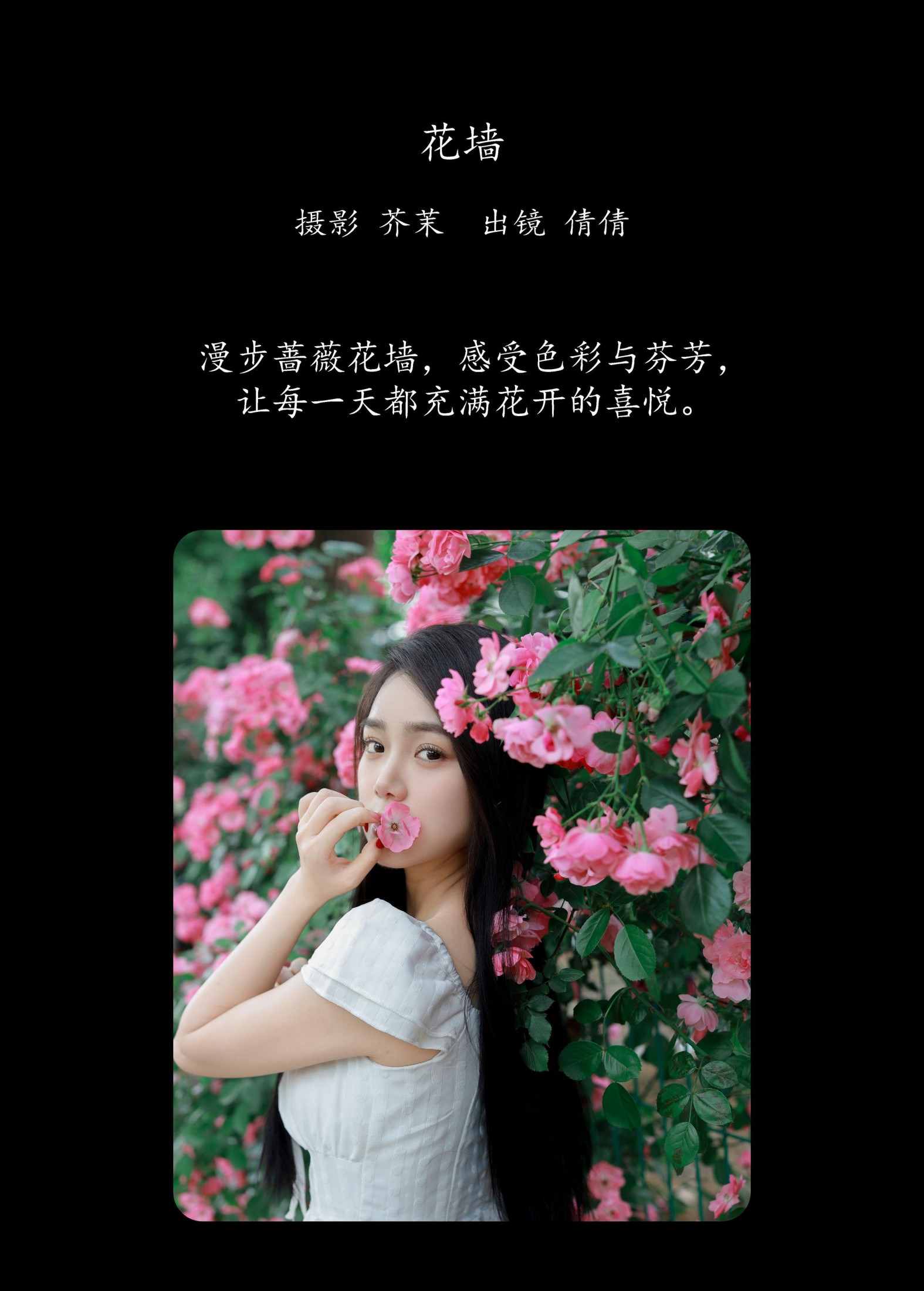 我不刷鸟 – 《花墙》[26P]