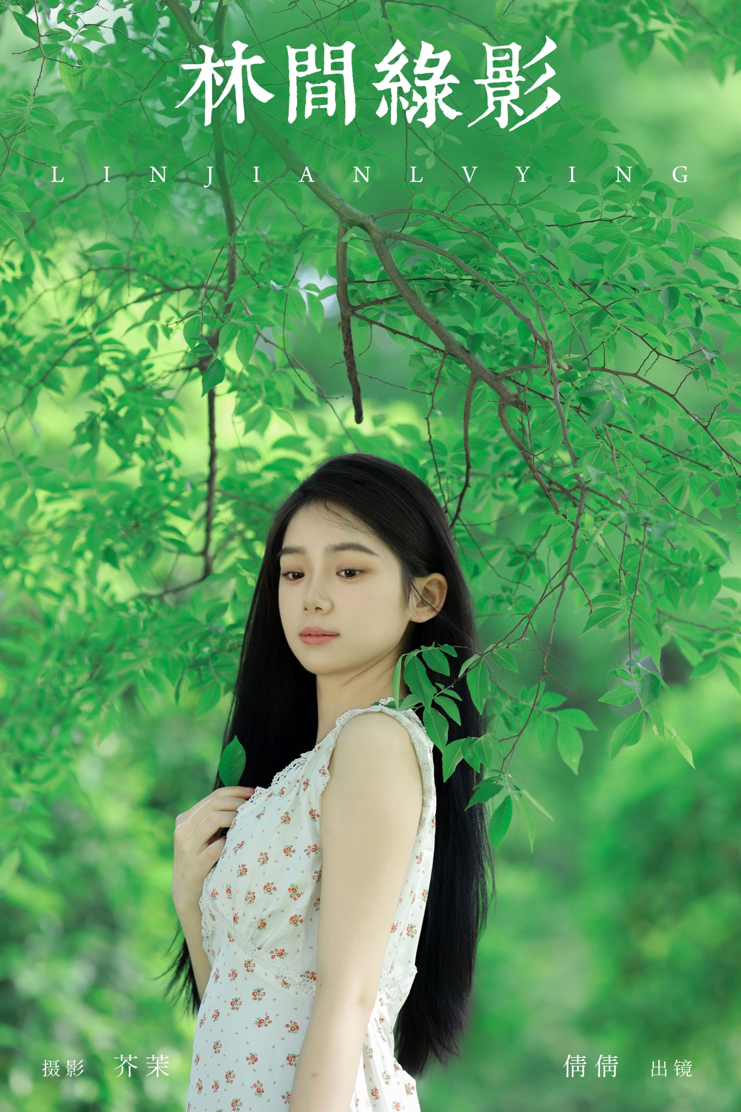 我不刷鸟 – 《林间绿影》[24P]