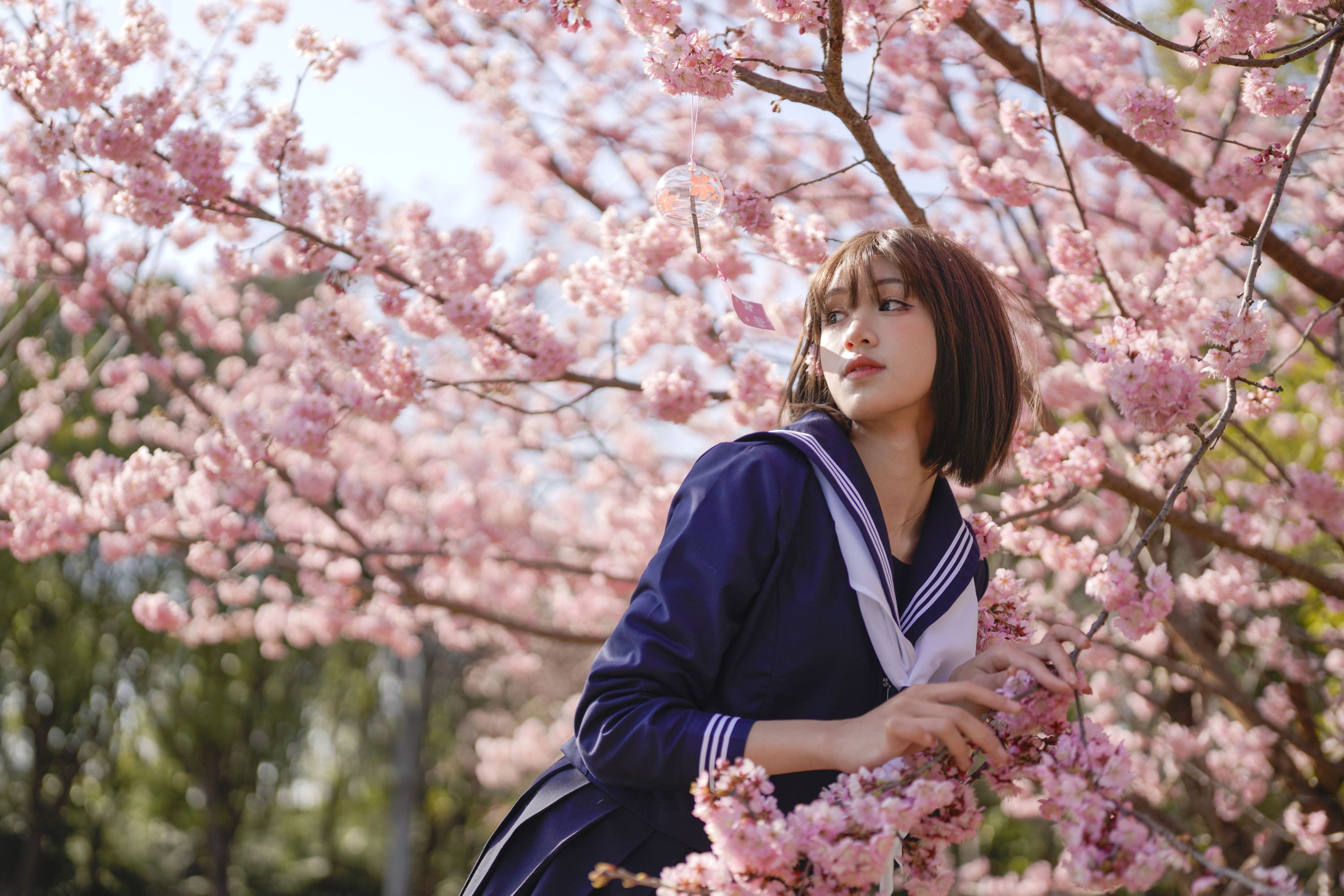 吞树梅 – 《樱花树下JK》[26P]