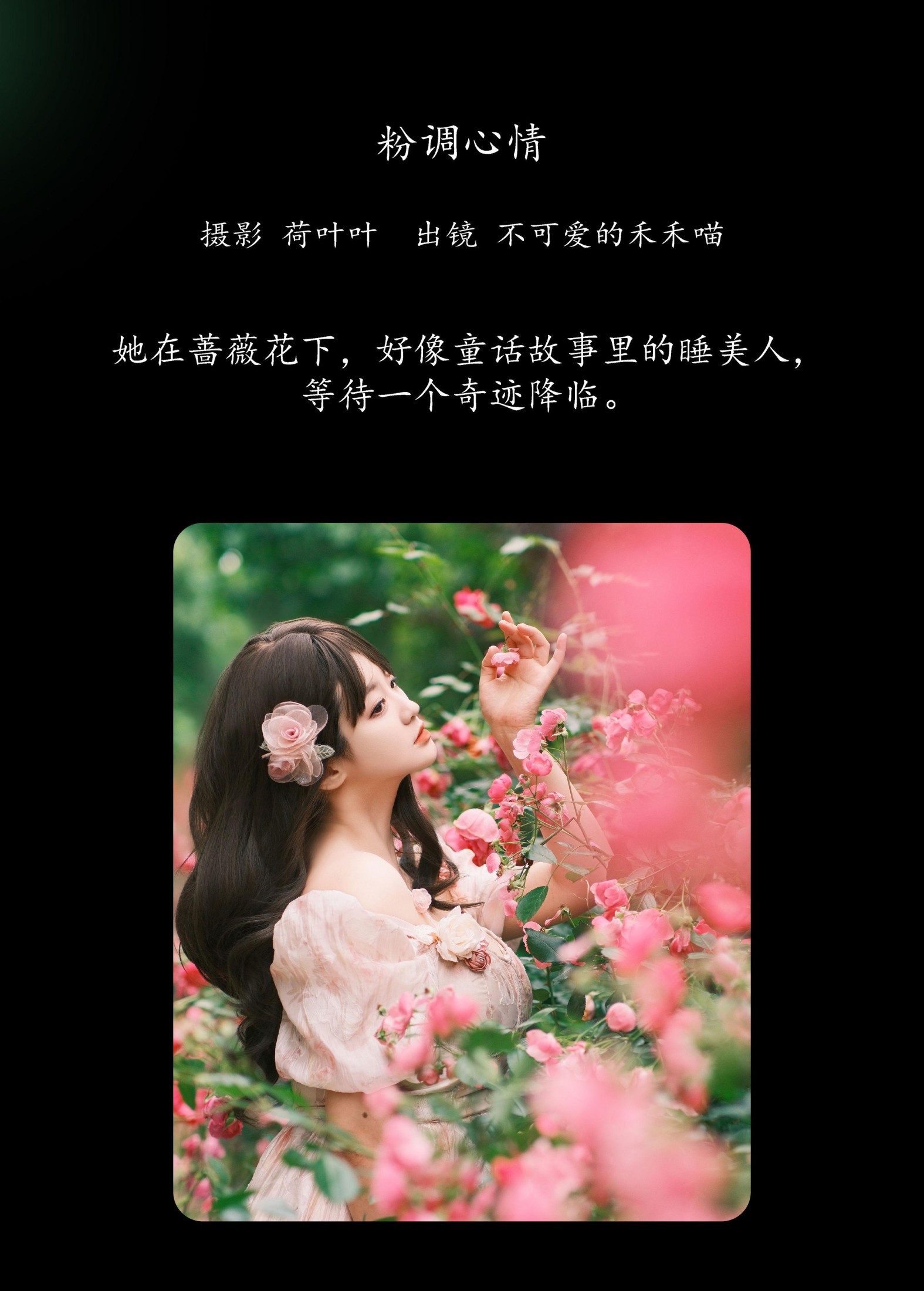 不可爱的禾禾喵 – 《粉调心情》[30P]