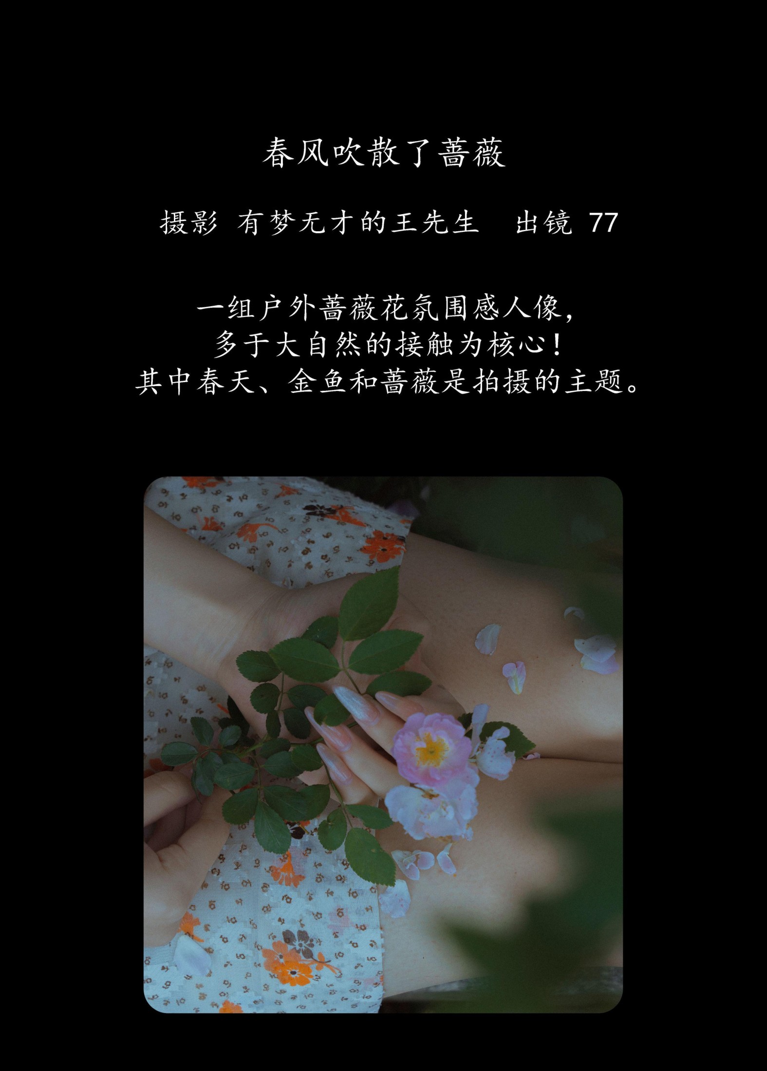 77 – 《春风吹散了蔷薇》[29P]