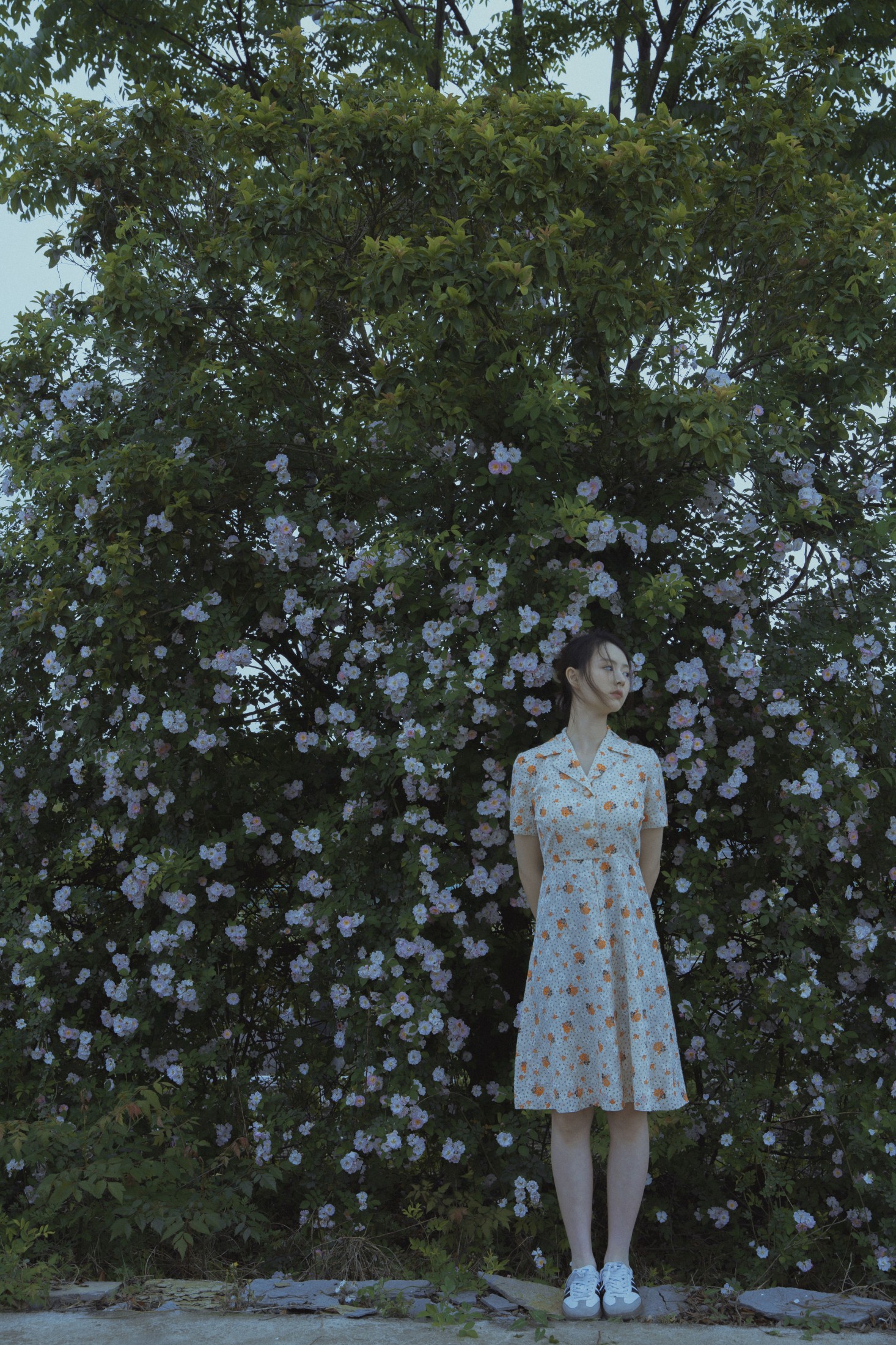 77 – 《春风吹散了蔷薇》[29P]