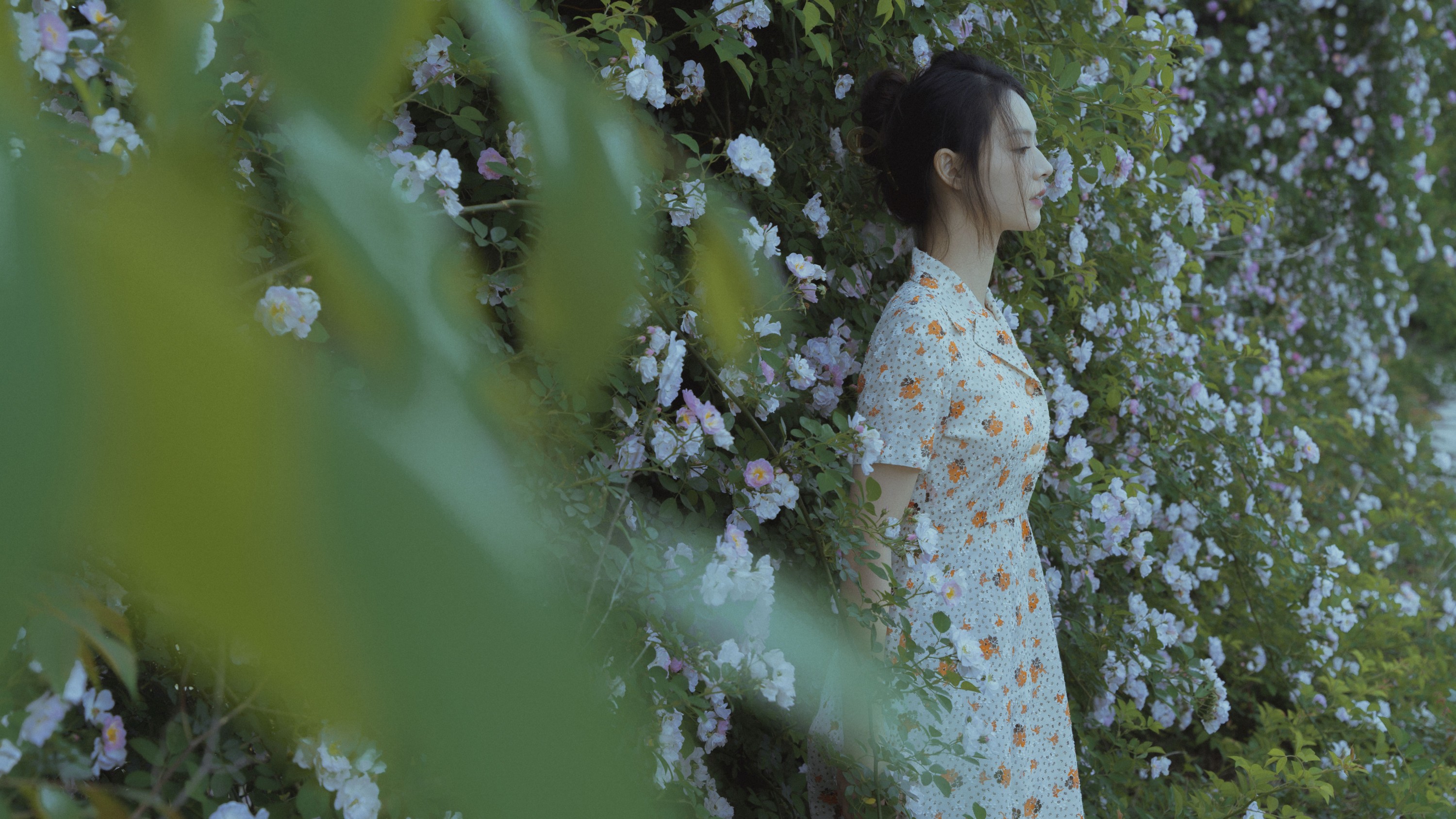 77 – 《春风吹散了蔷薇》[29P]