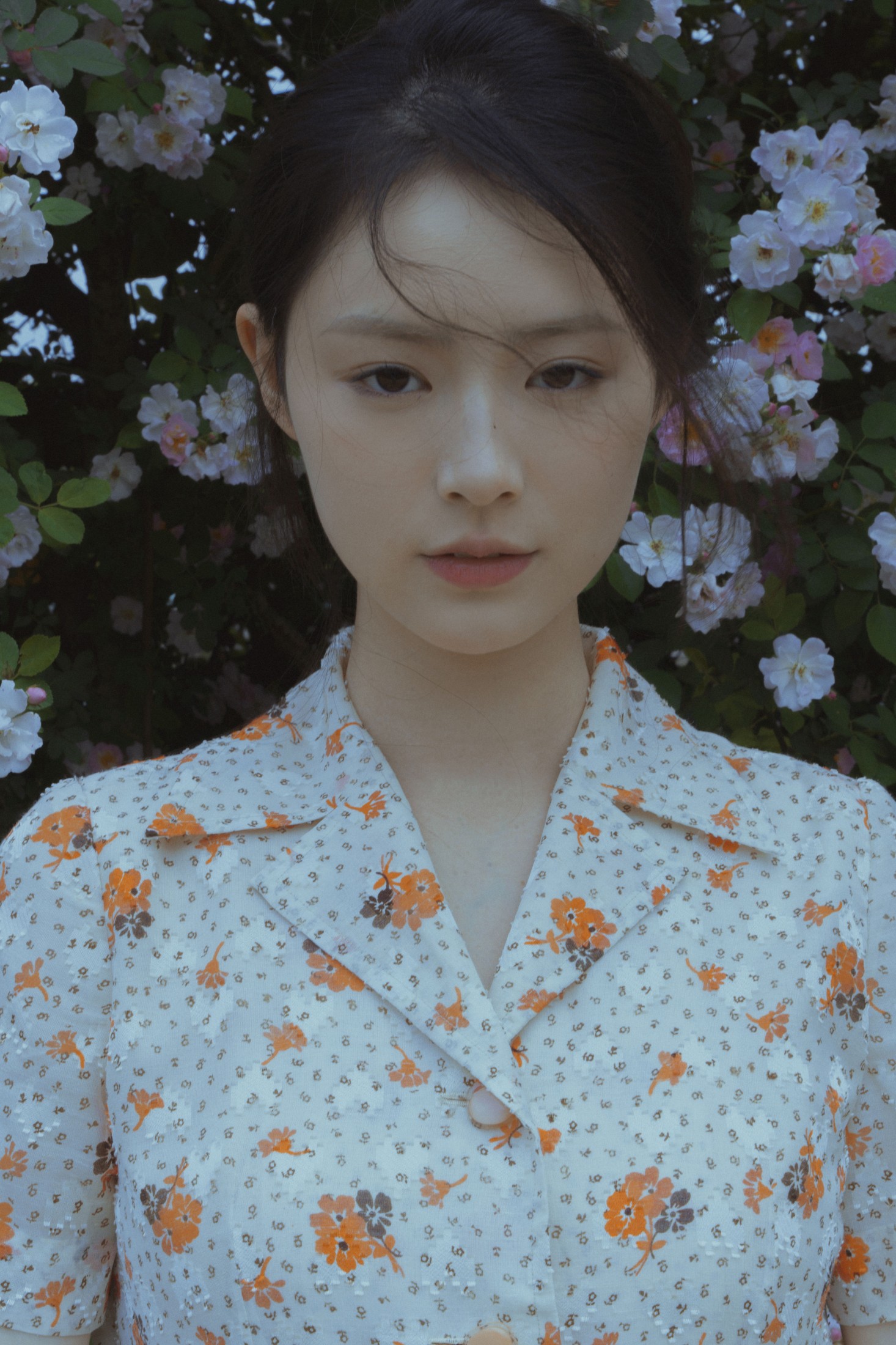 77 – 《春风吹散了蔷薇》[29P]