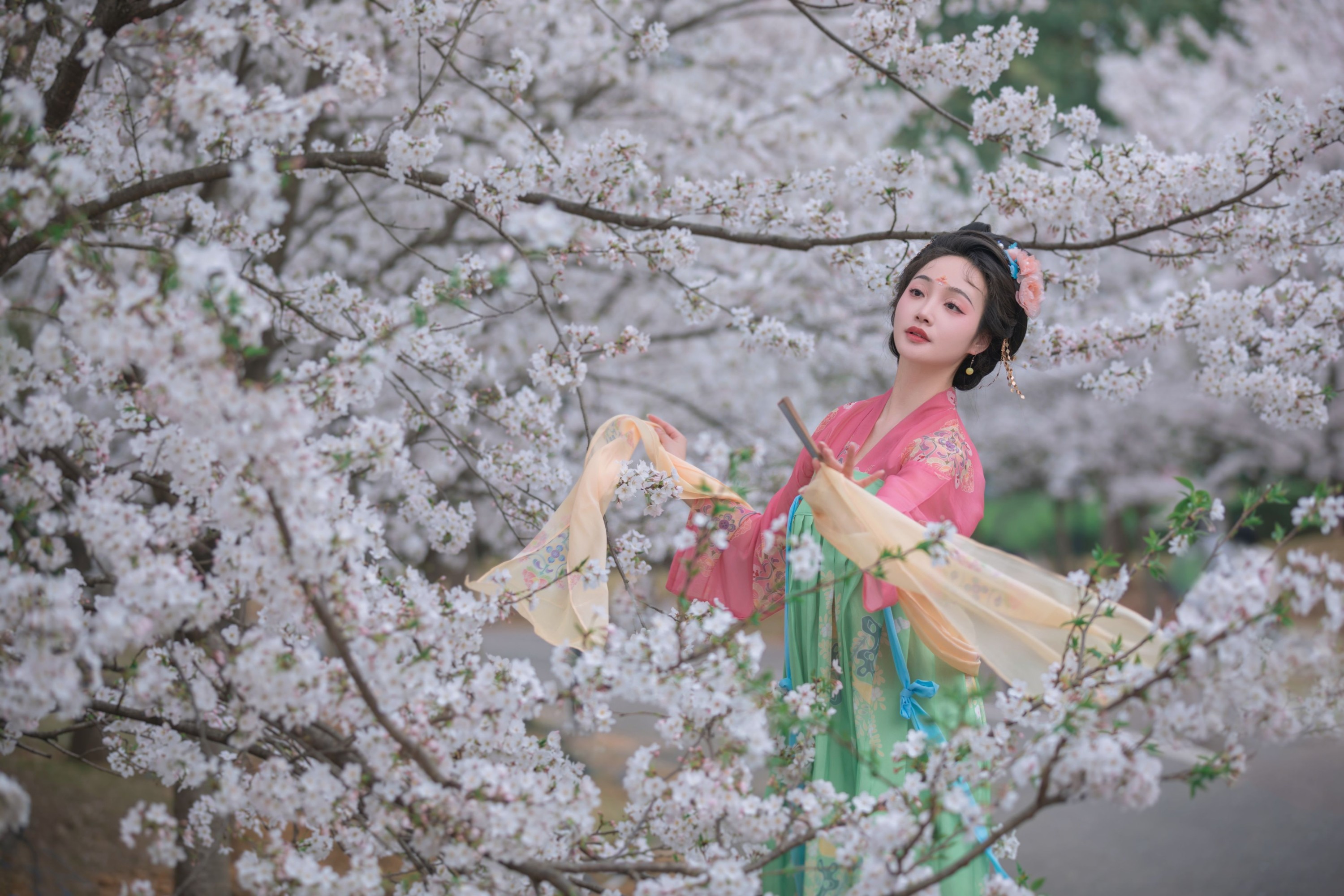 凌子兮 – 《樱花漫》[23P]