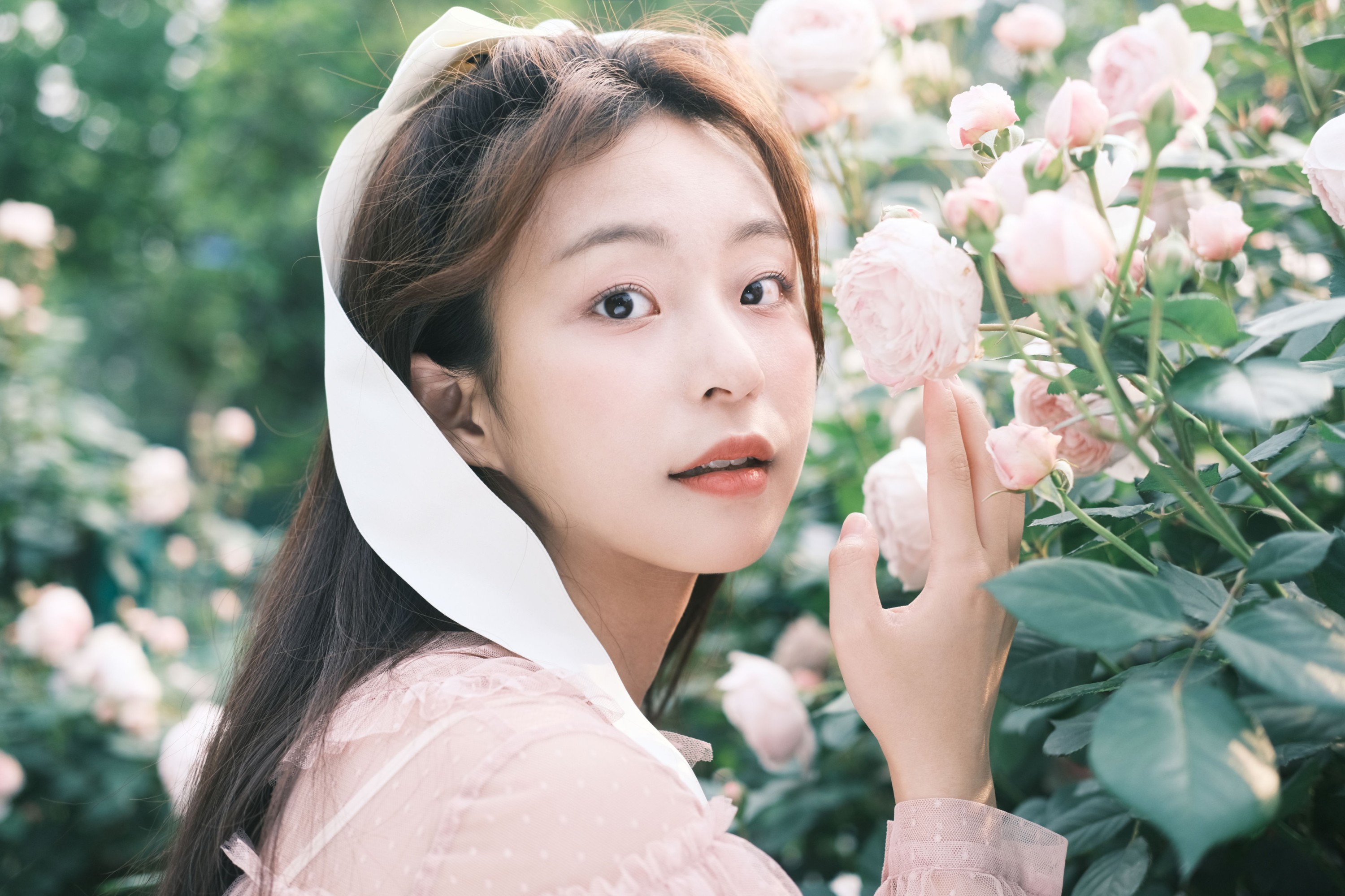 chickkii_ – 《蔷薇舞曲》[23P]