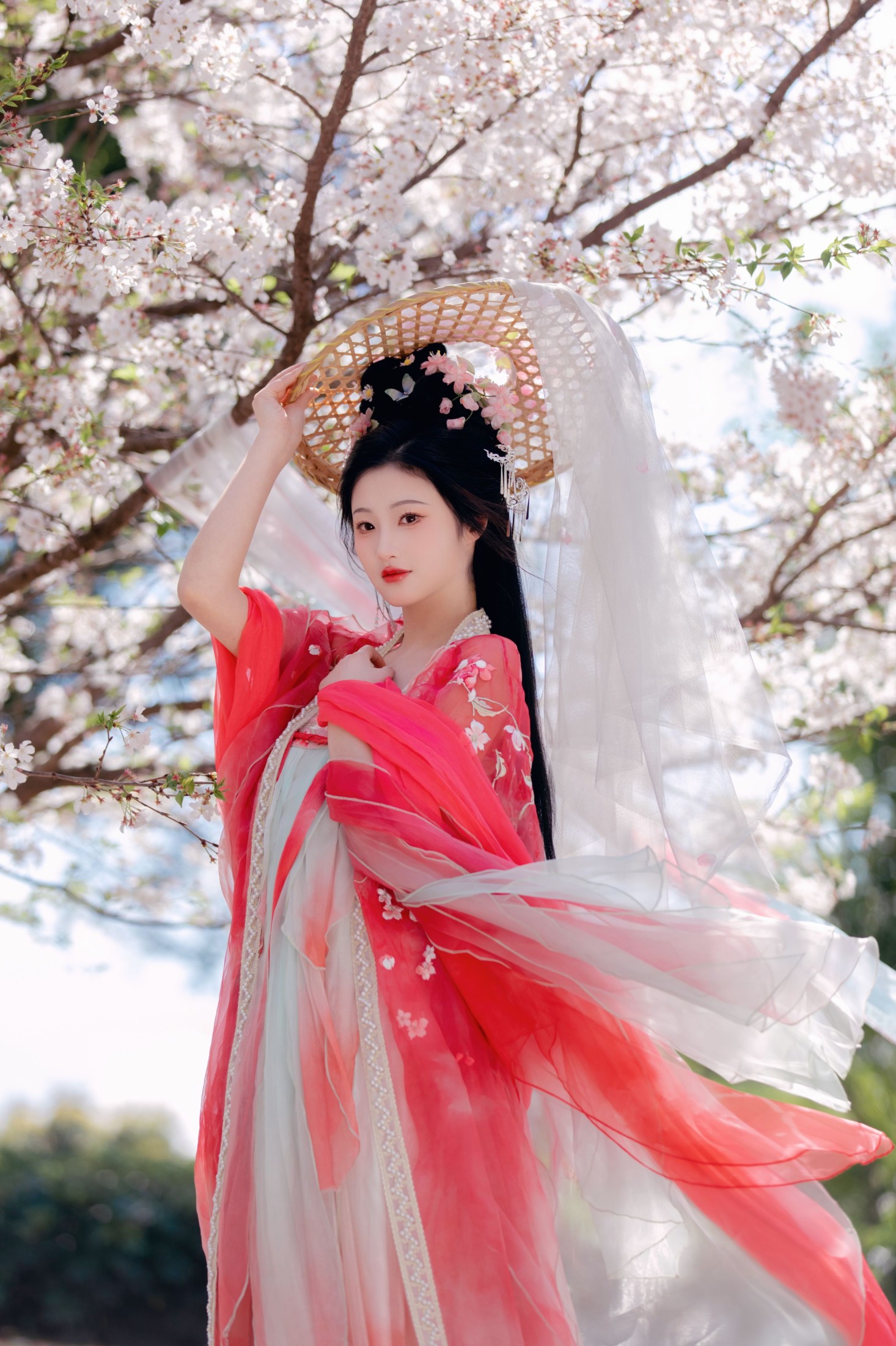 阳阳 – 《樱花雨》[22P]