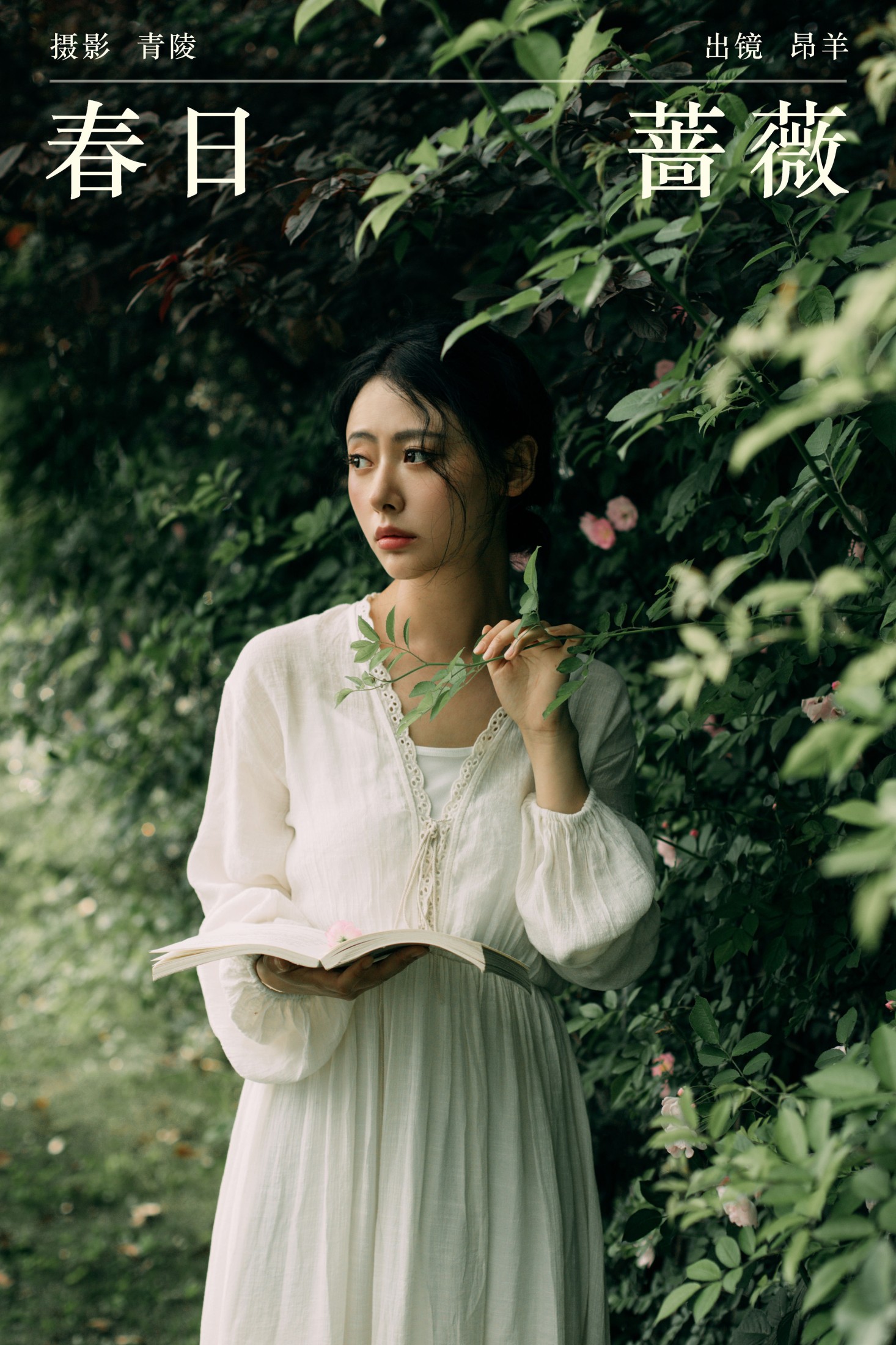 是昂羊呀 – 《春日蔷薇》[33P]