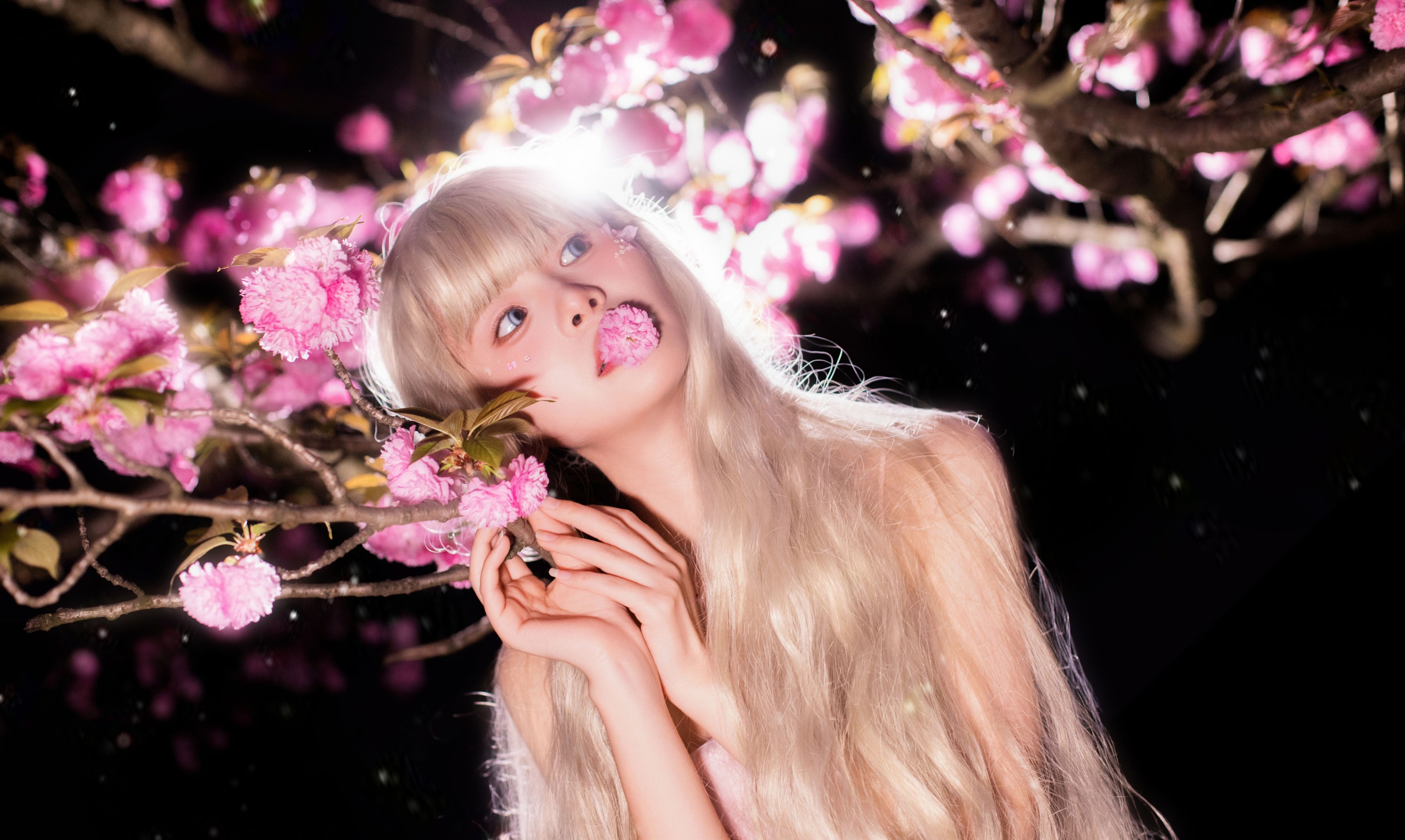 鱼七 – 《夜樱》[22P]