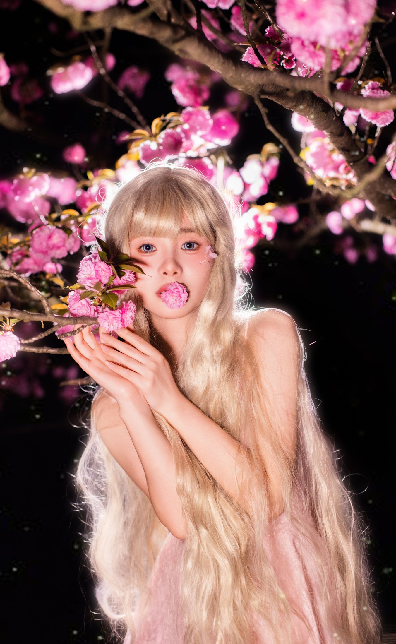 鱼七 – 《夜樱》[22P]