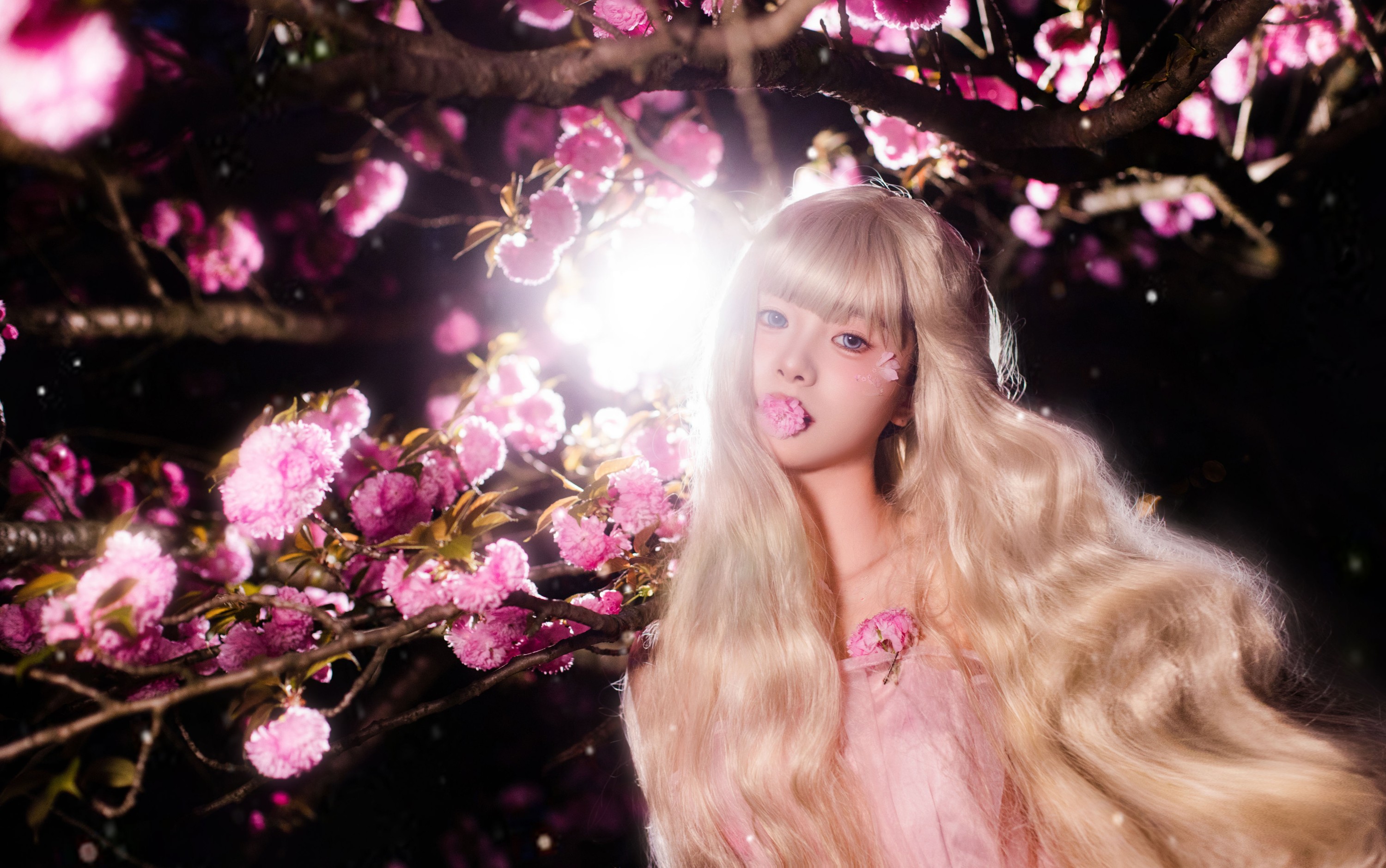 鱼七 – 《夜樱》[22P]