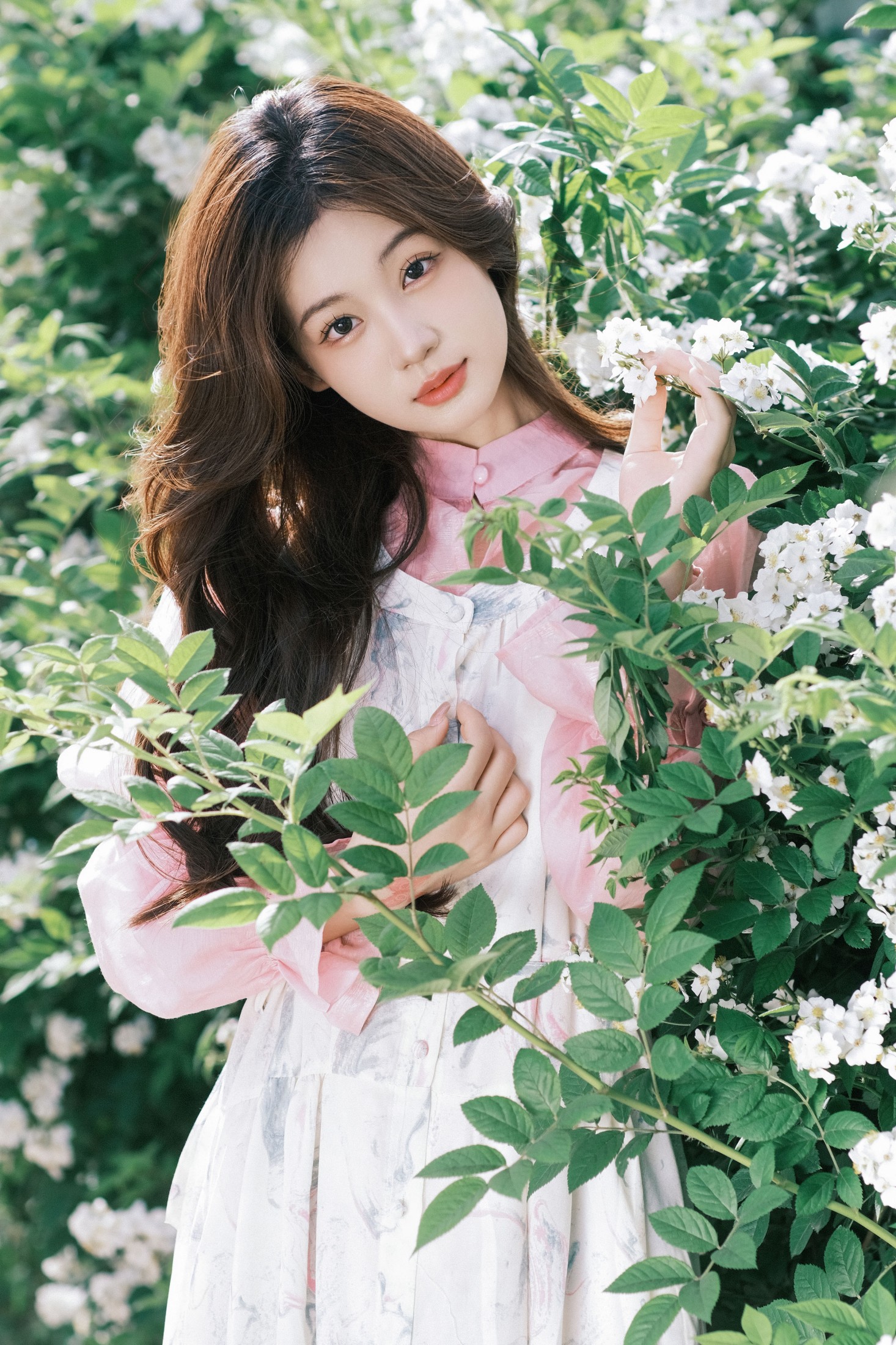 高冷小别兔 – 《四月蔷薇》[38P]