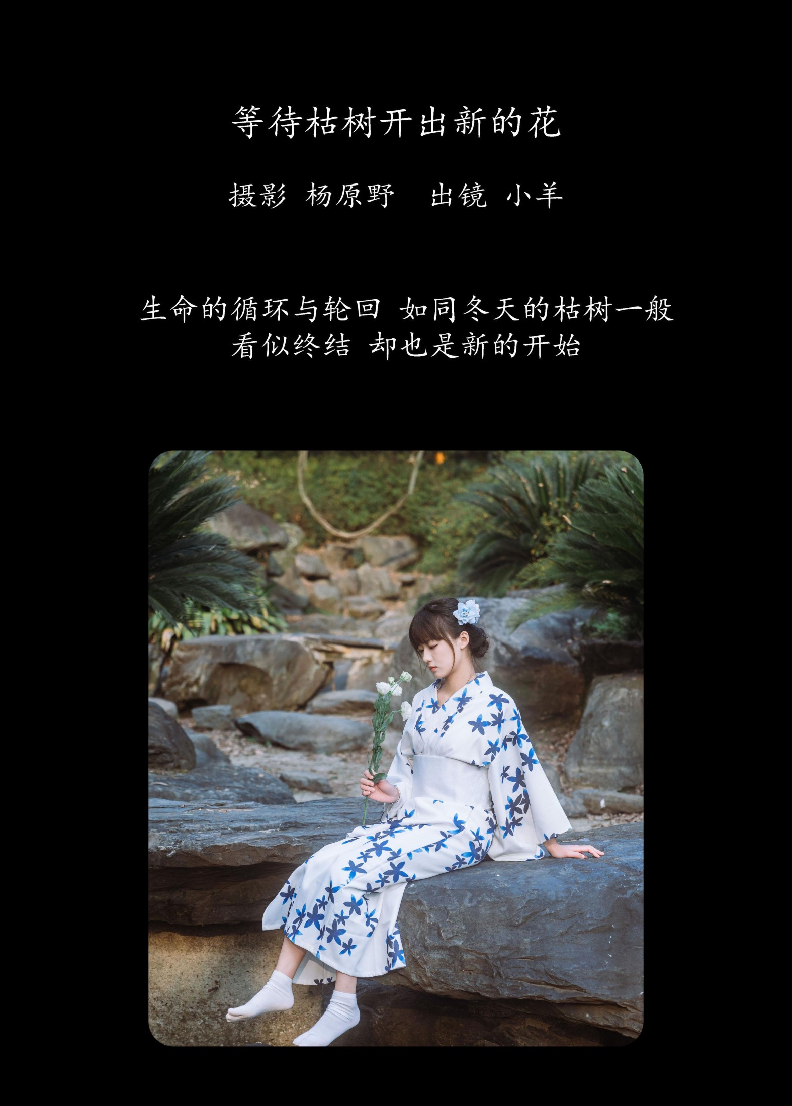 小羊 – 《等待枯树开出新的花》[23P]