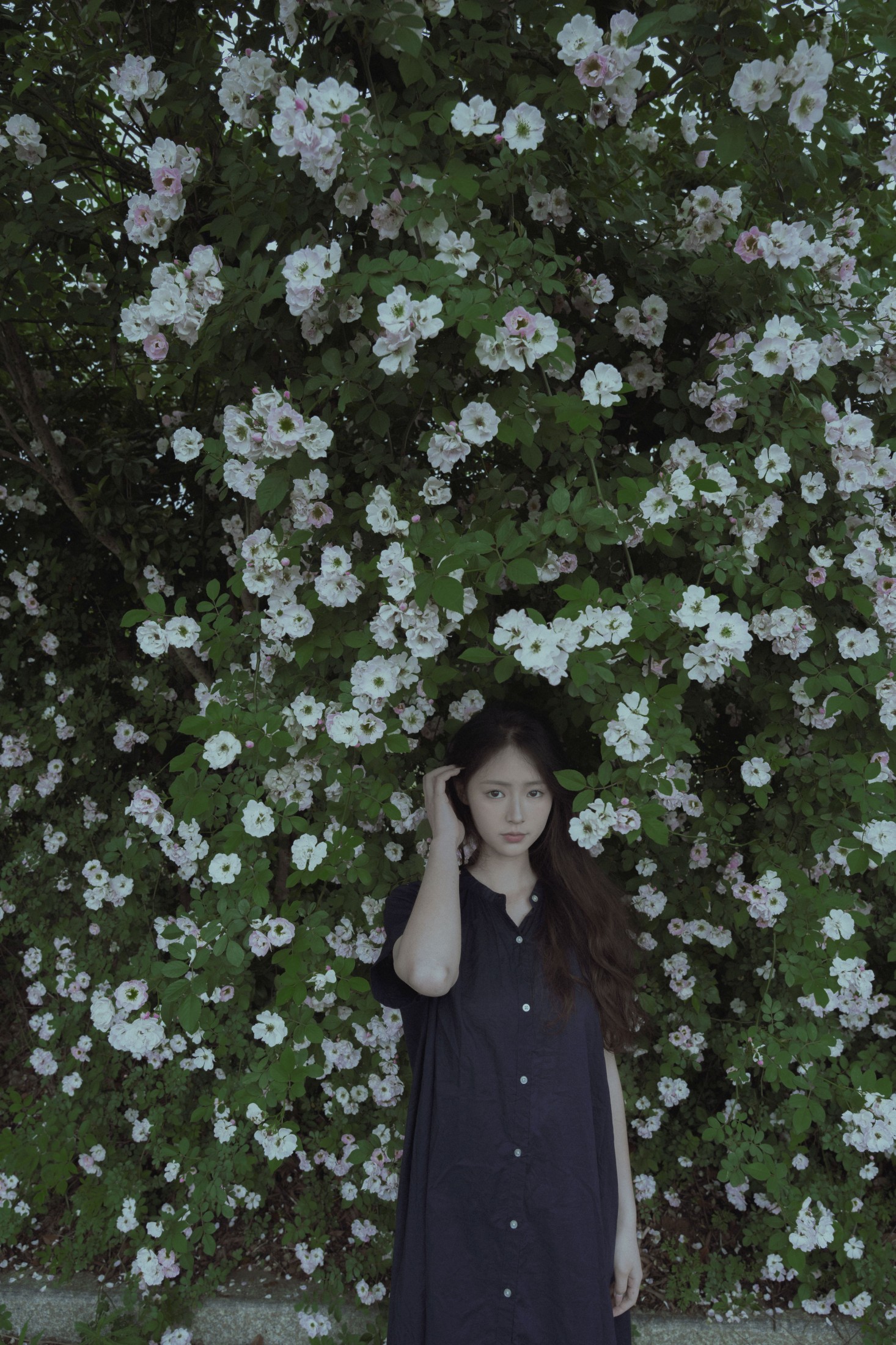 77 – 《随花》[23P]