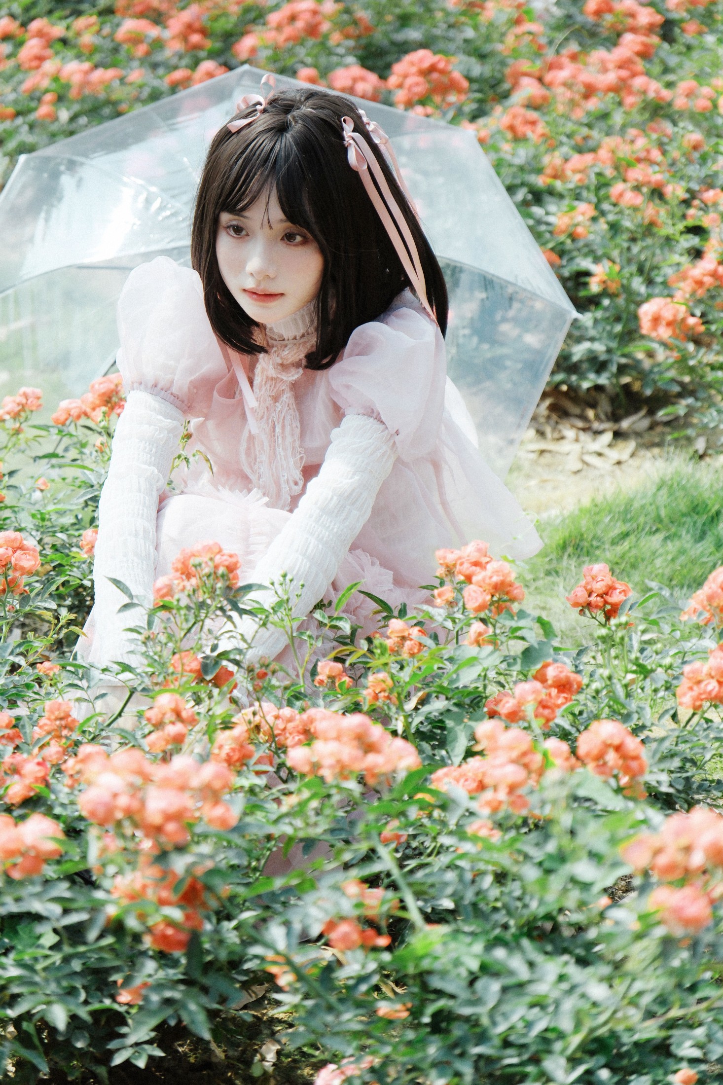 一枝沐瑶瑶 – 《蔷薇少女》[24P]