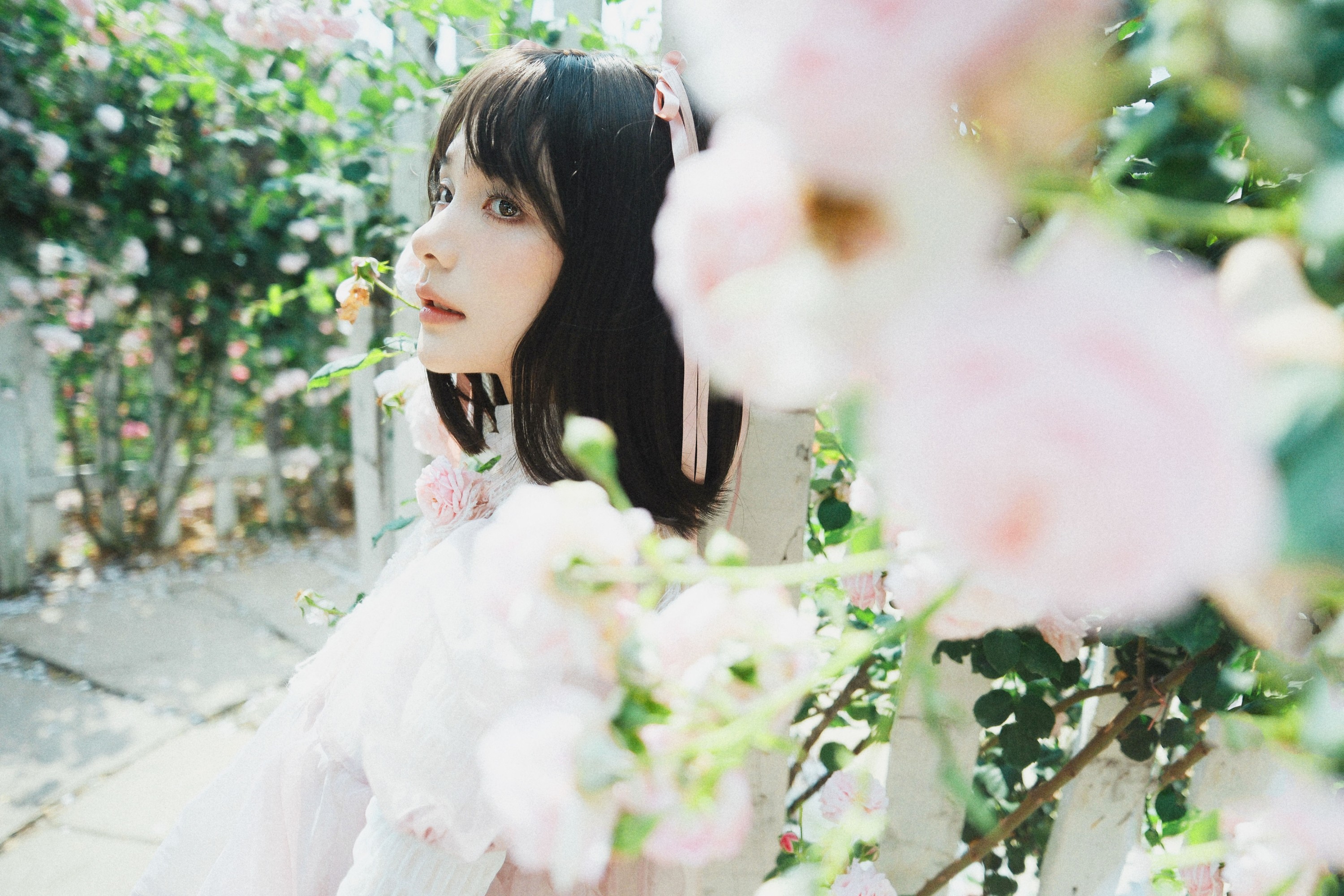 一枝沐瑶瑶 – 《蔷薇少女》[24P]