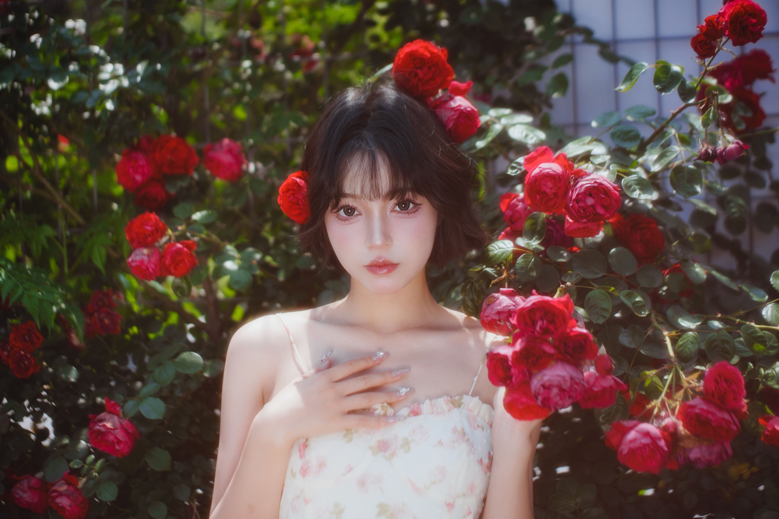 Disexi思宁 – 《生如夏花》[27P]