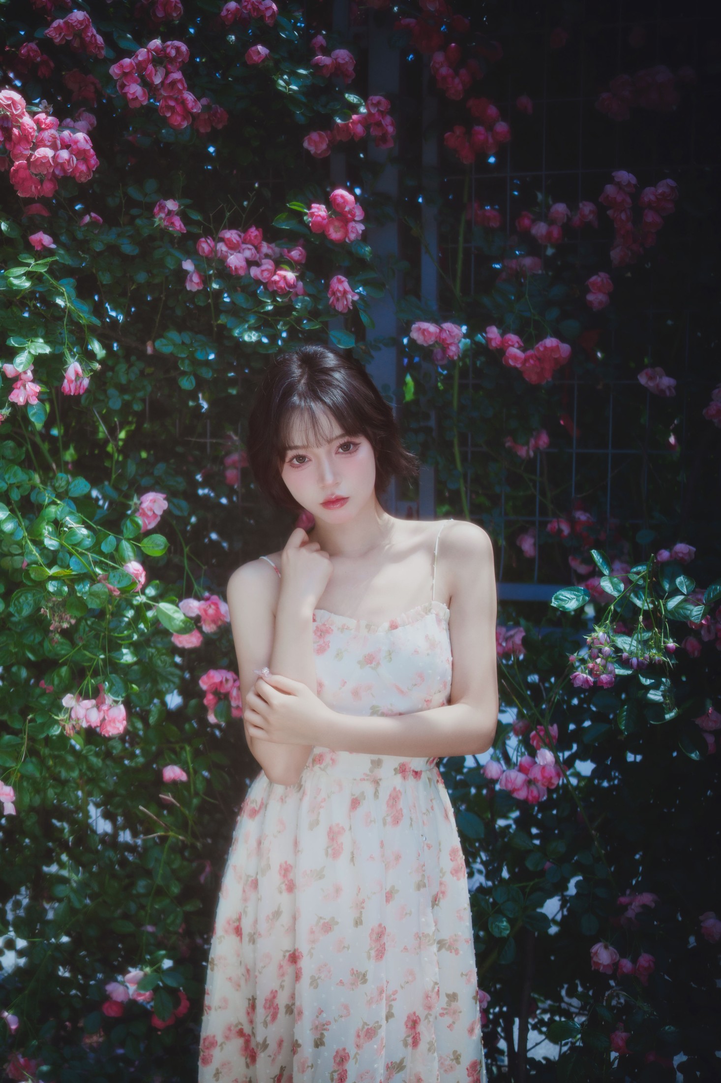 Disexi思宁 – 《生如夏花》[27P]