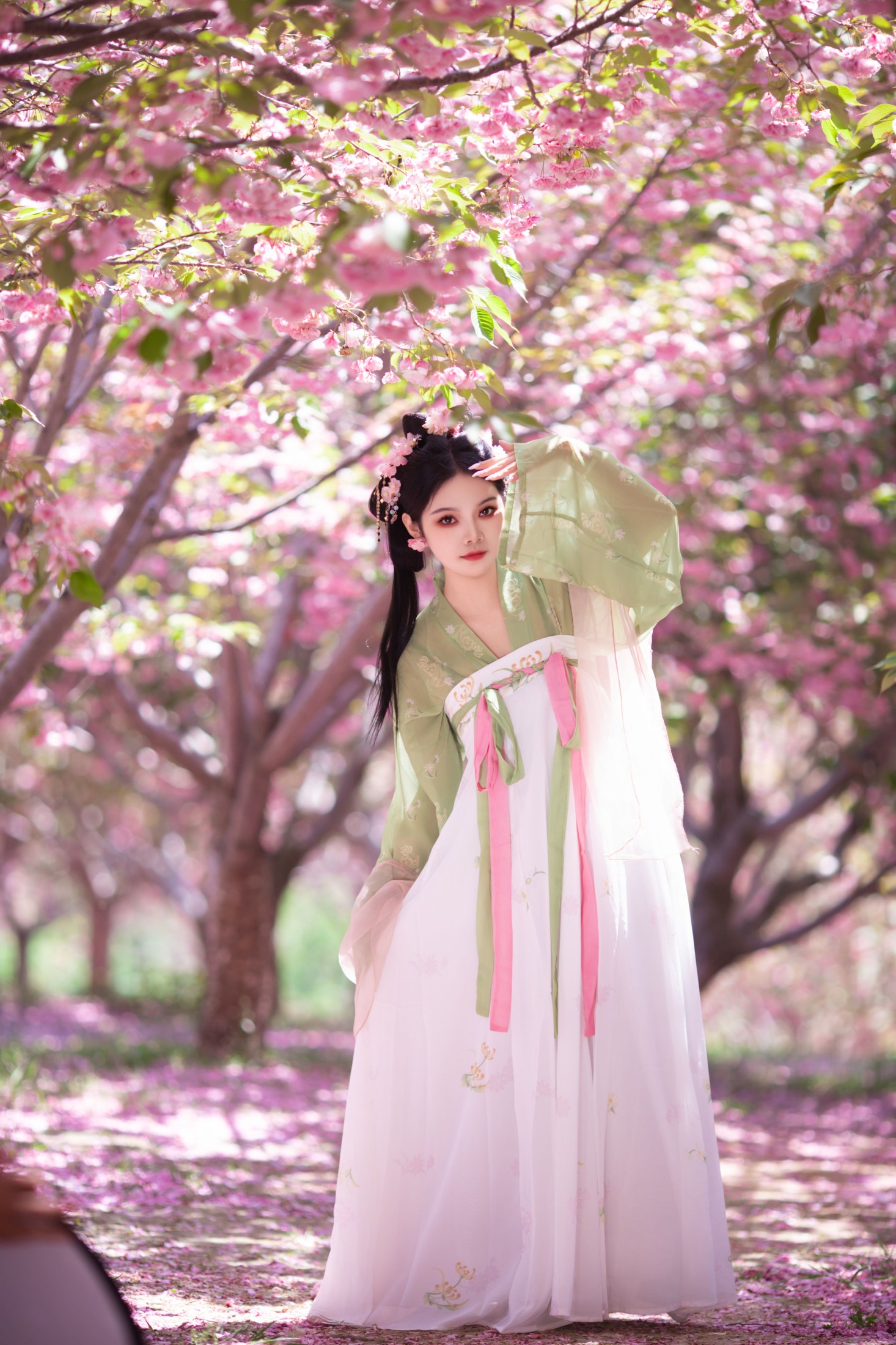 婉仪 – 《落樱》[22P]