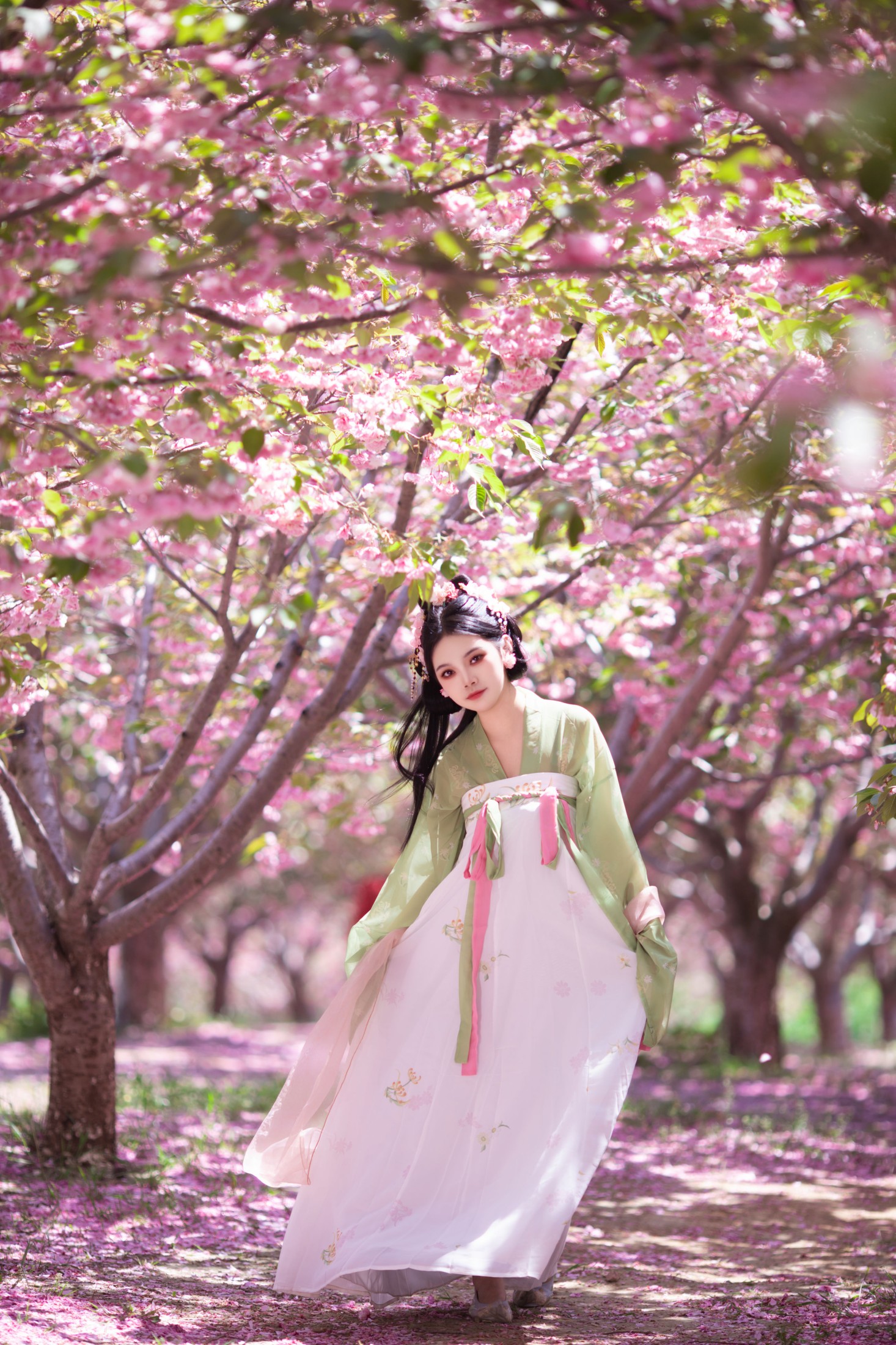 婉仪 – 《落樱》[22P]