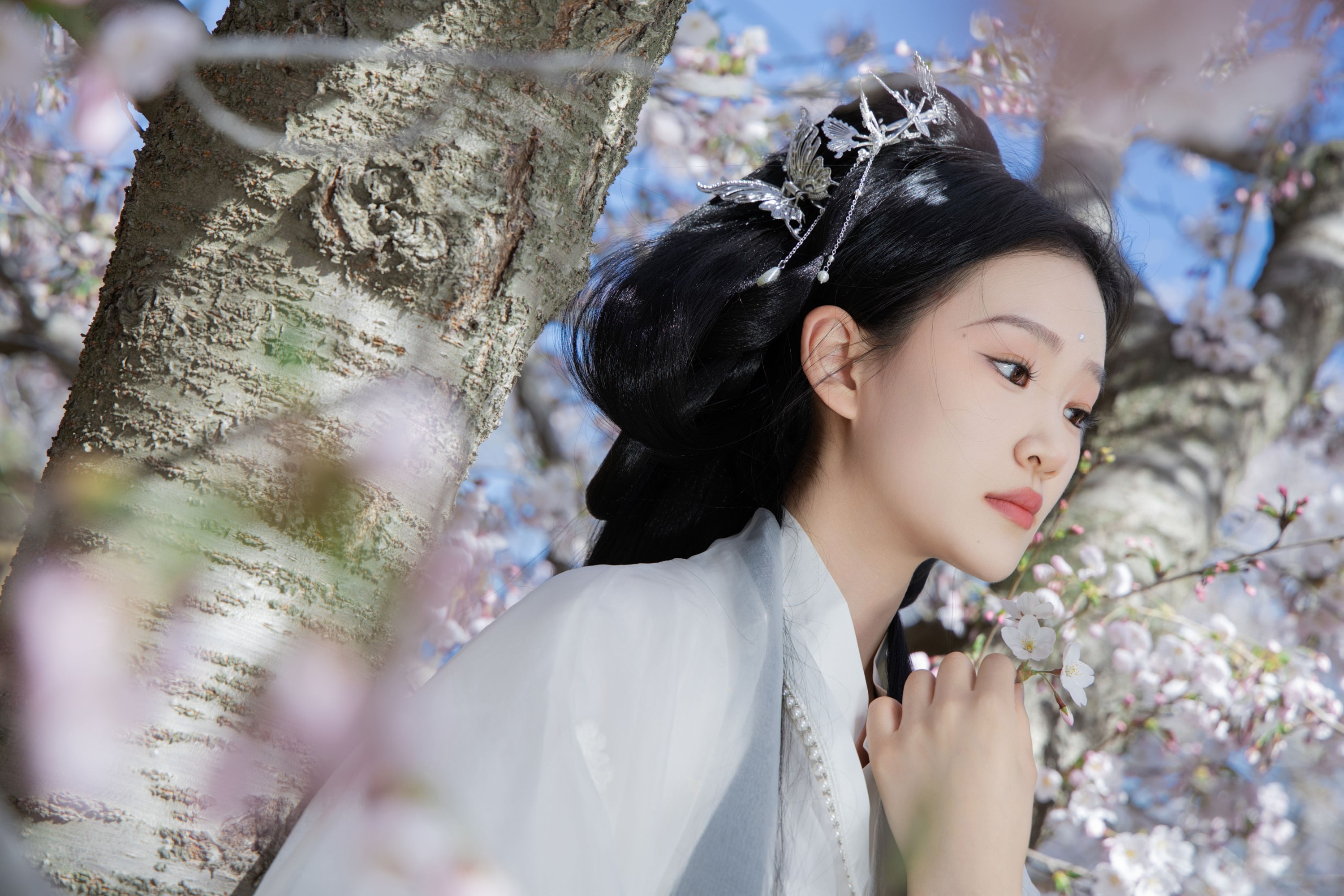 相望回首喵喵喵 – 《白衣花神》[22P]