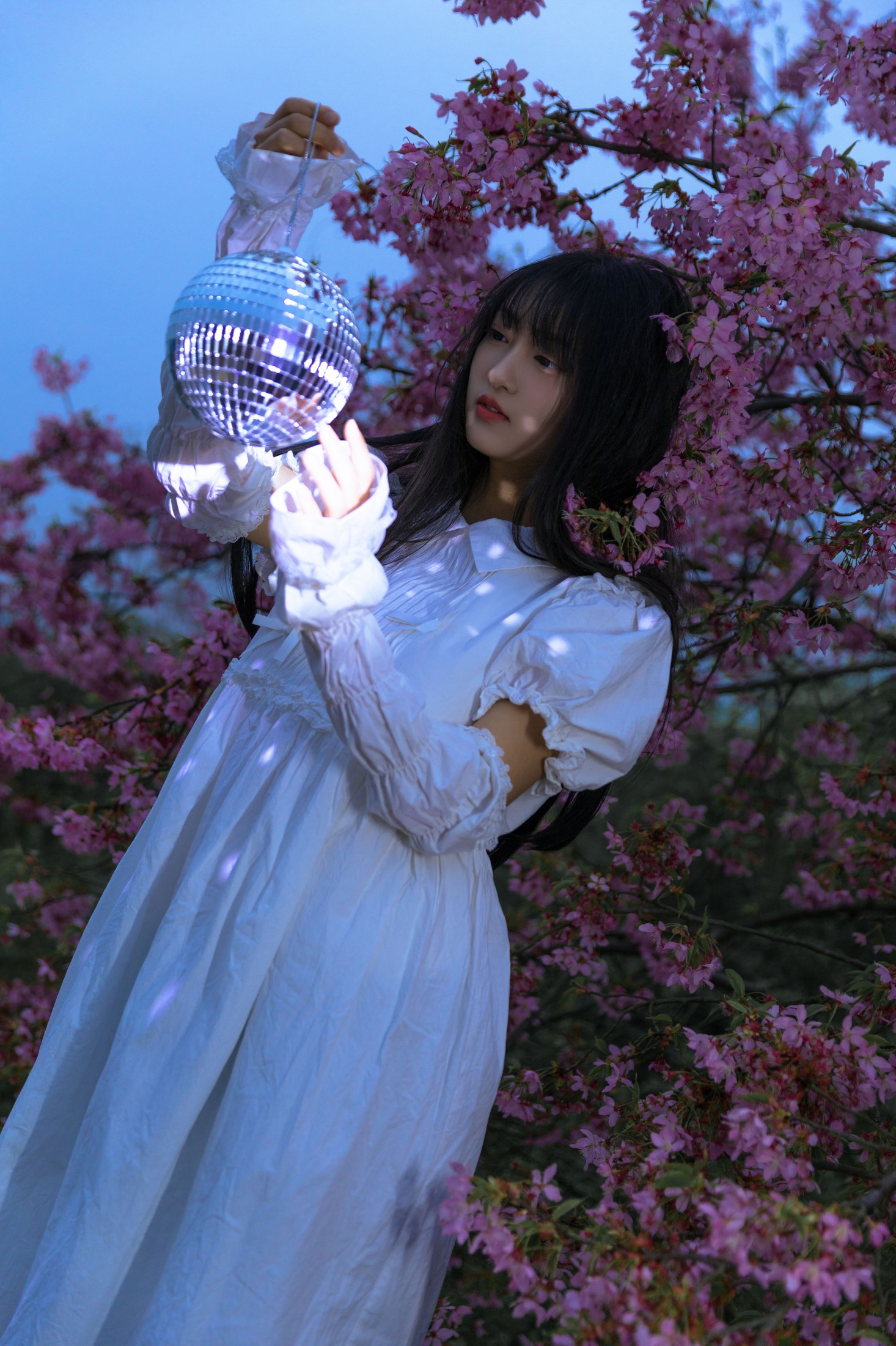 冷酷王爷 – 《夜樱》[30P]