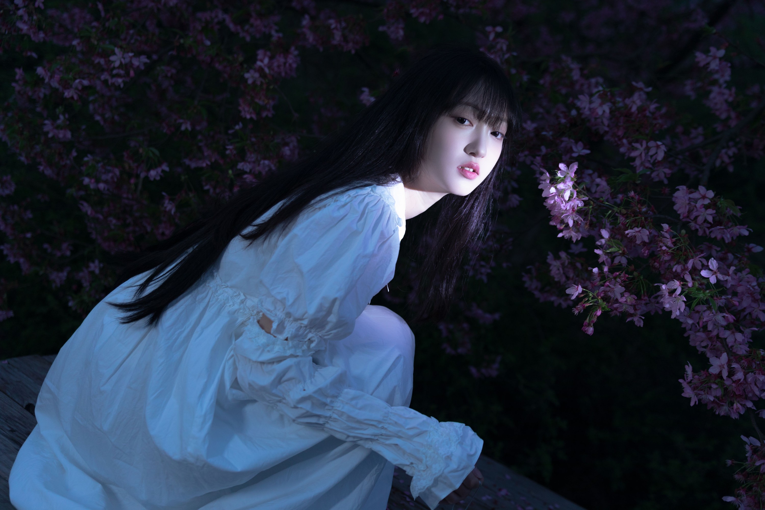 冷酷王爷 – 《夜樱》[30P]