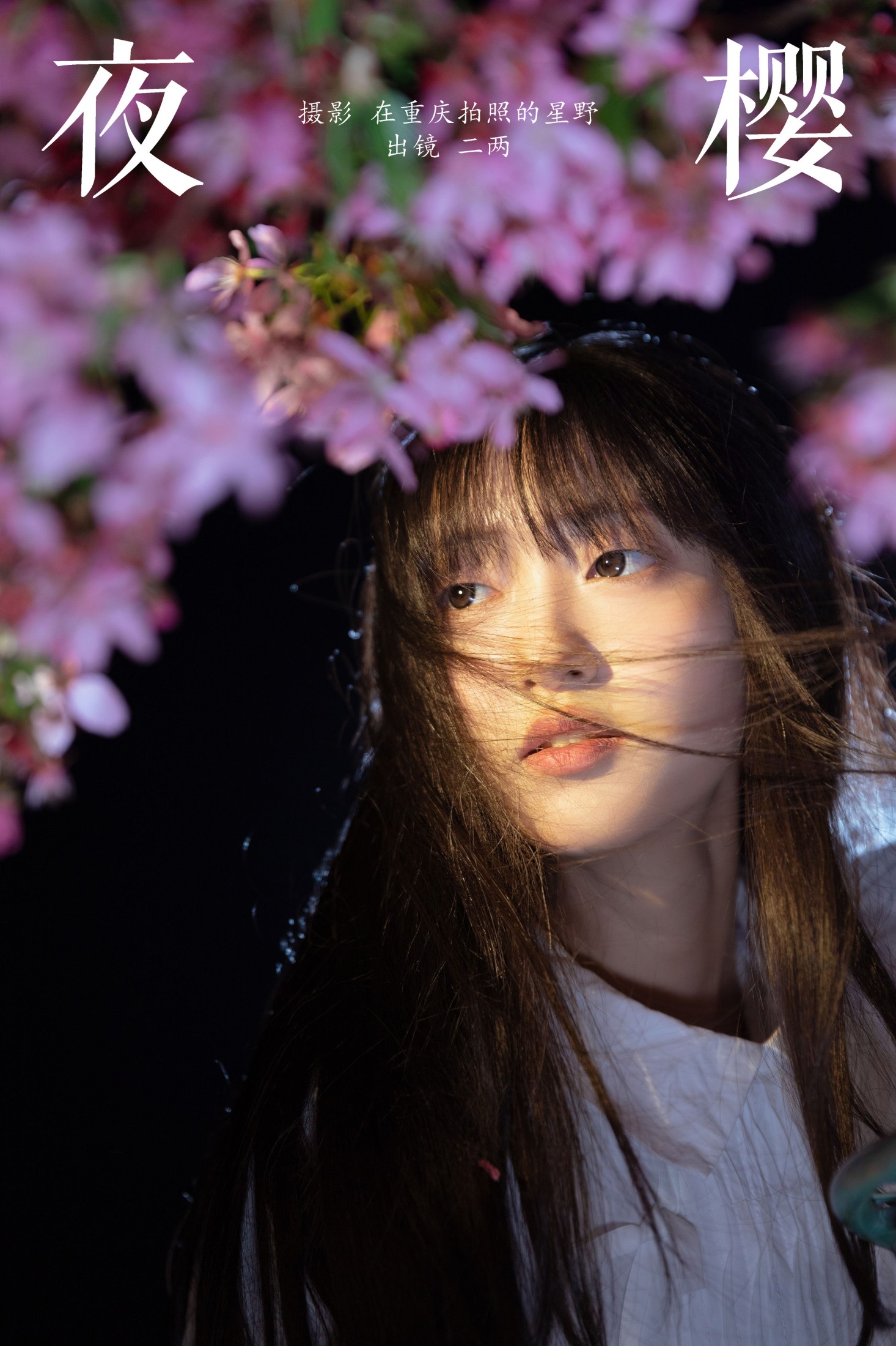 冷酷王爷 – 《夜樱》[30P]