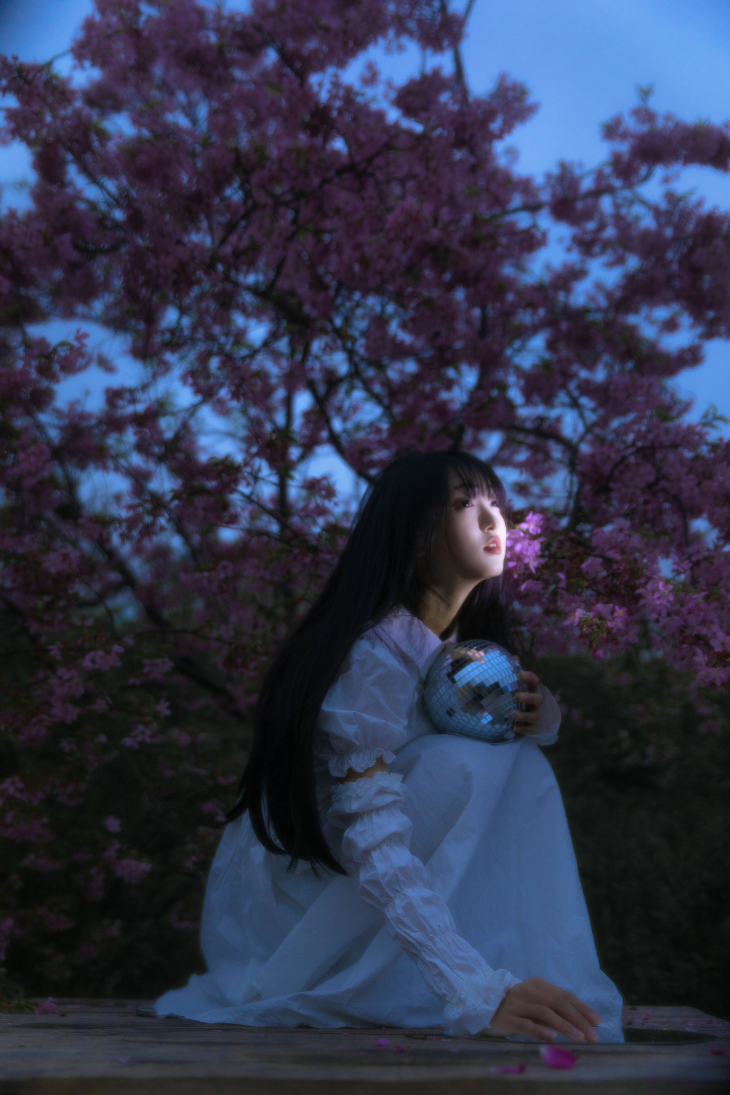 冷酷王爷 – 《夜樱》[30P]