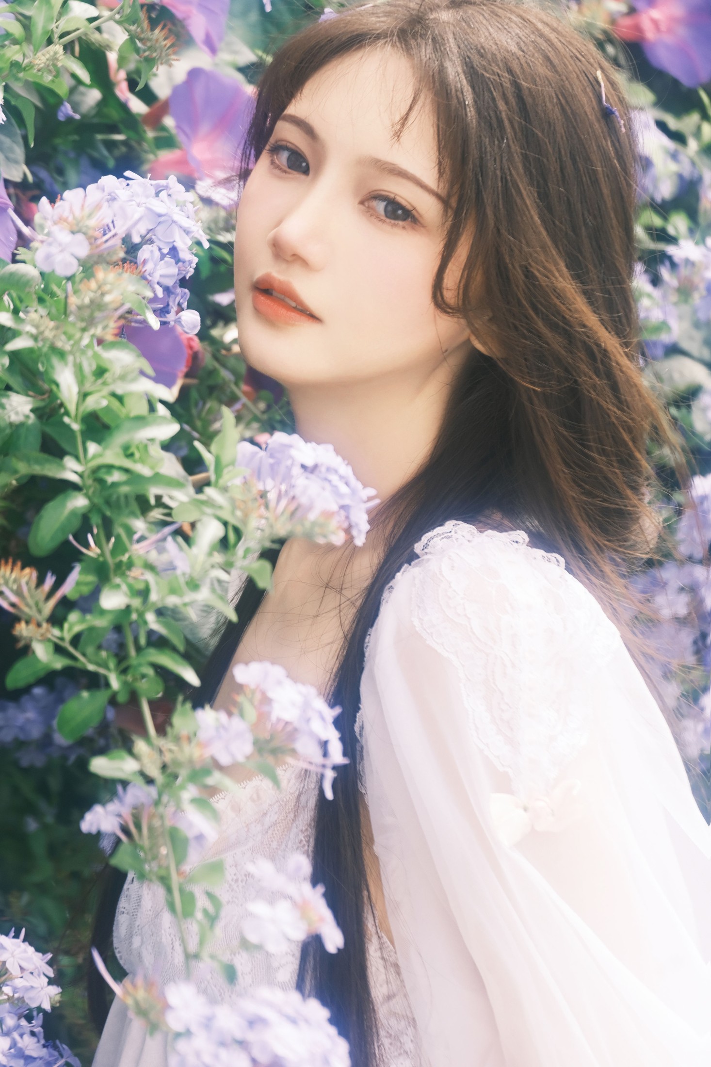 爱拍照的晓十 – 《蓝雪花》[20P]