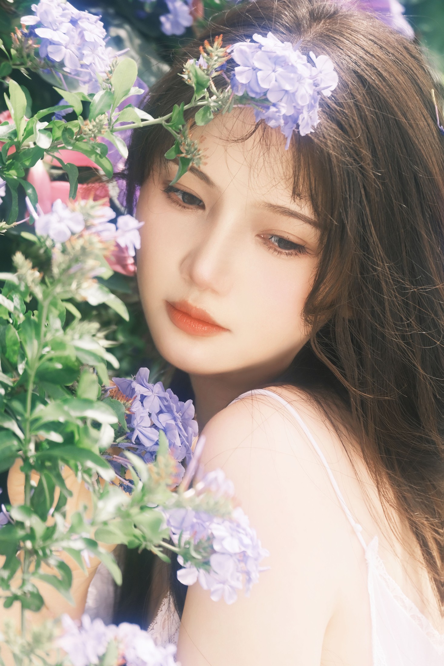 爱拍照的晓十 – 《蓝雪花》[20P]