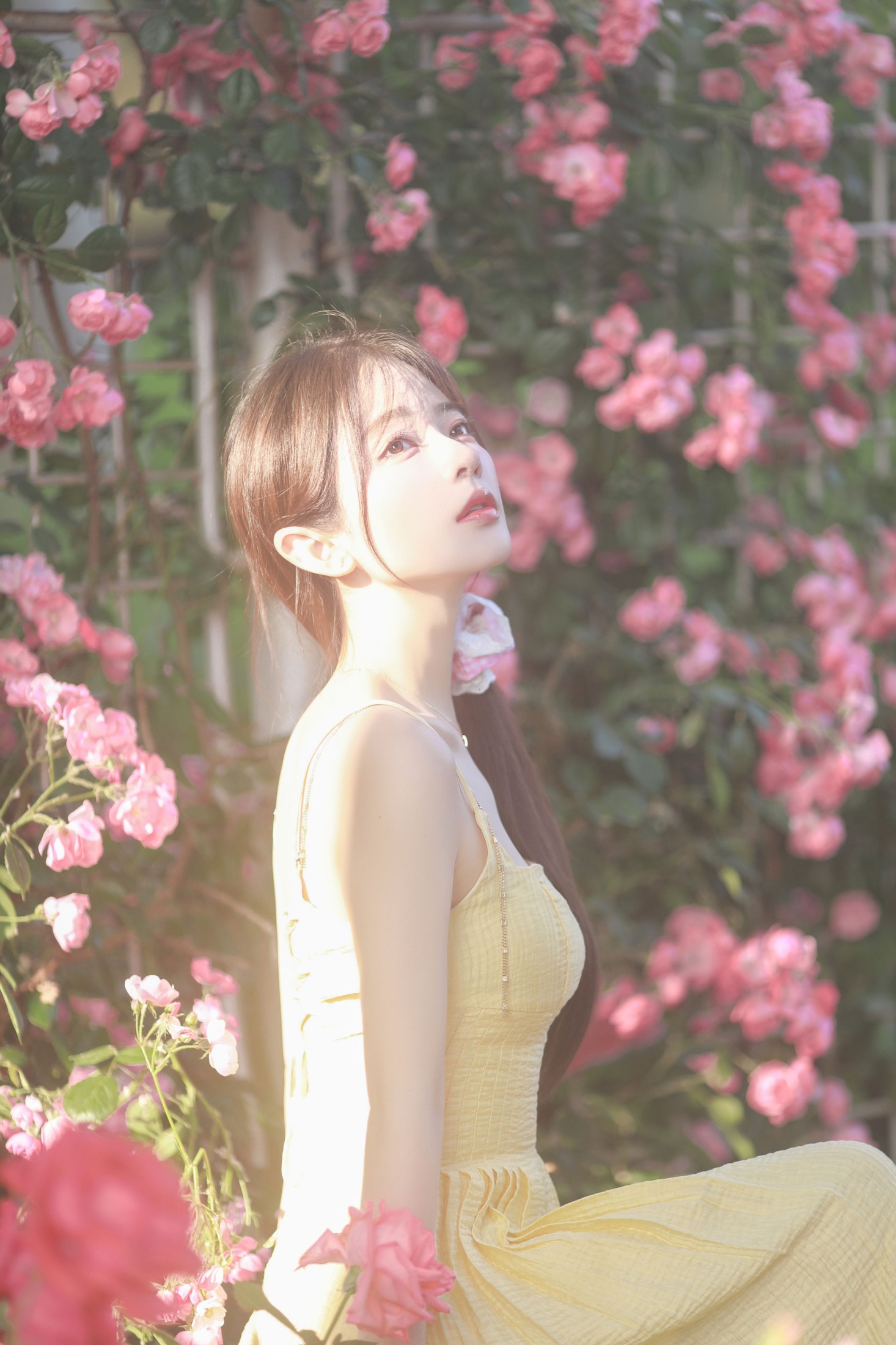 杨伊墨 – 《莫奈花园》[35P]