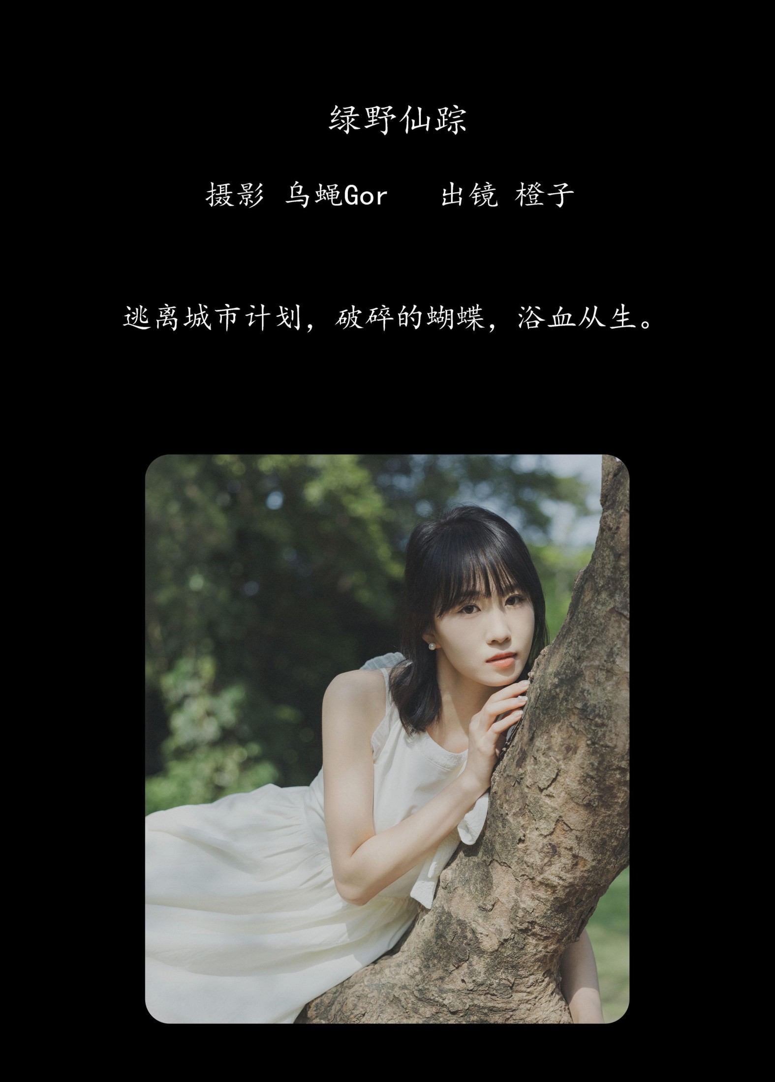 橙子 – 《绿野仙踪》[26P]