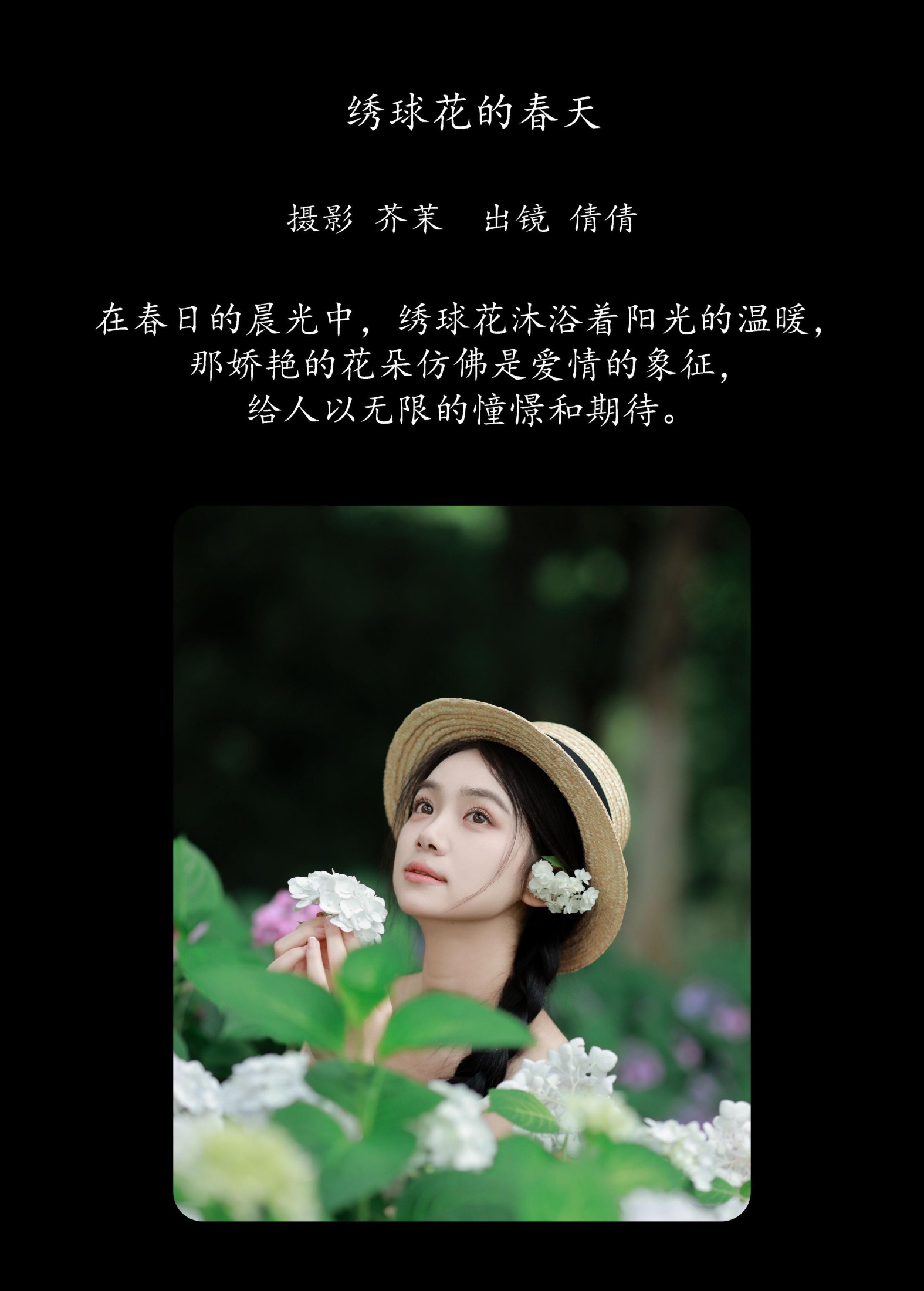 我不刷鸟 – 《绣球花的春天》[21P]