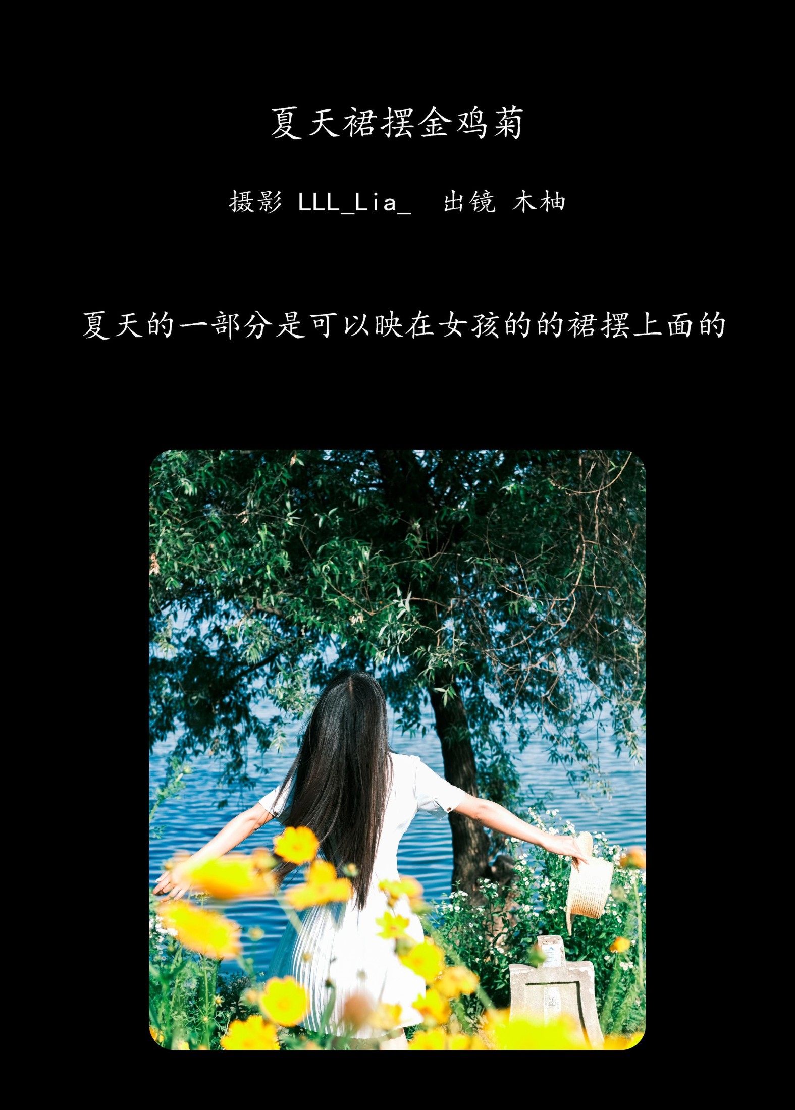 木柚柚 – 《夏天裙摆金鸡菊》[26P]