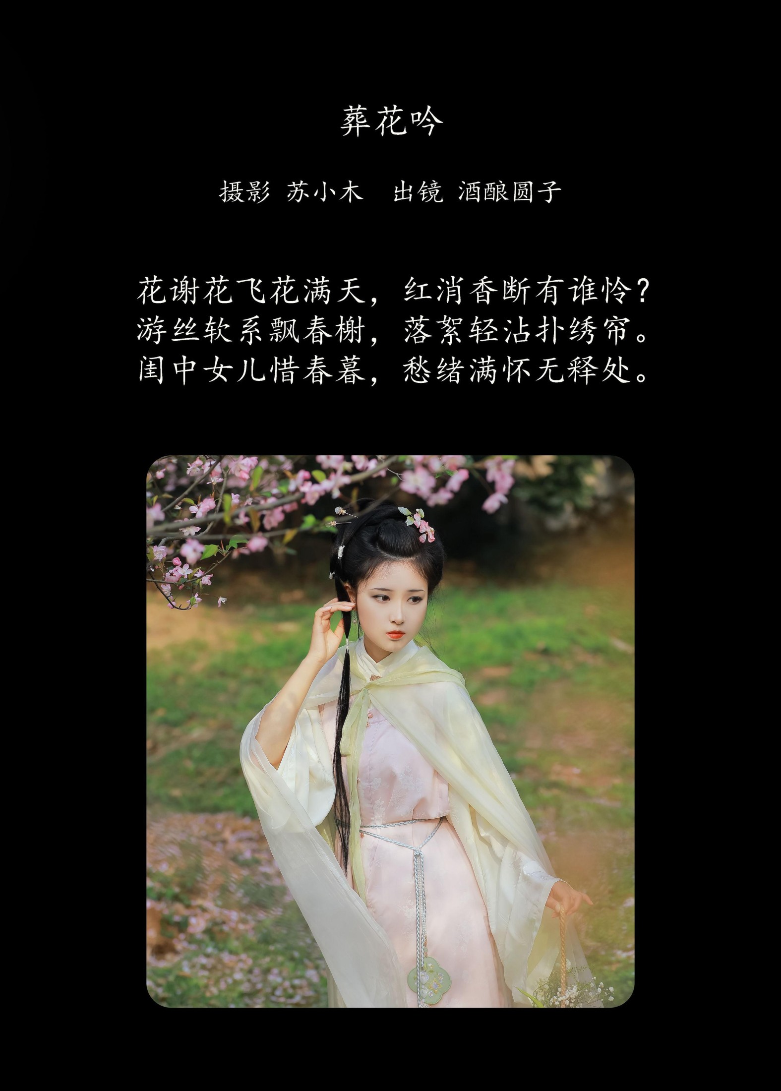 酒酿圆子 – 《葬花吟》[25P]