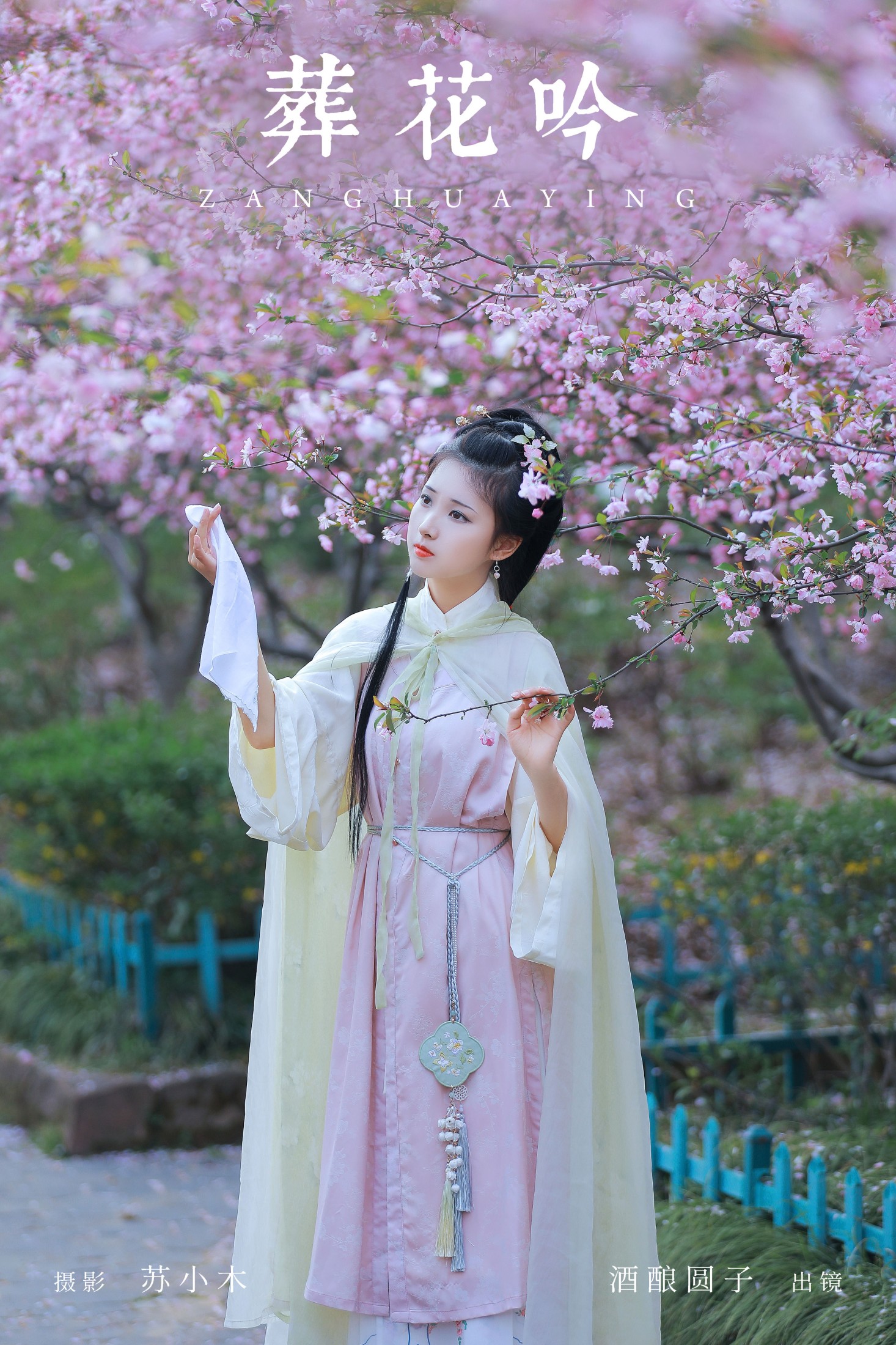 酒酿圆子 – 《葬花吟》[25P]