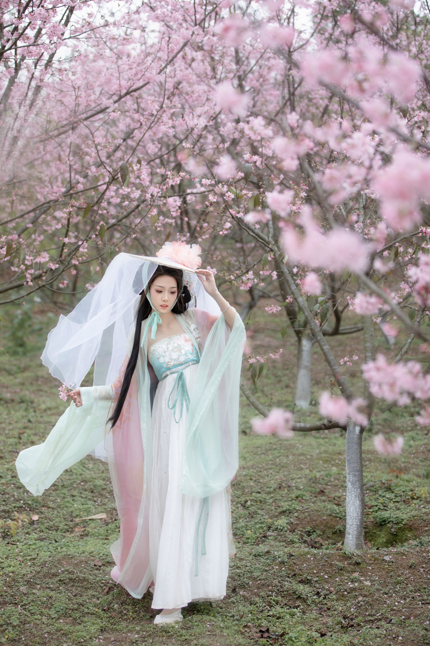 芝芝琪 – 《阳春曲》[36P]