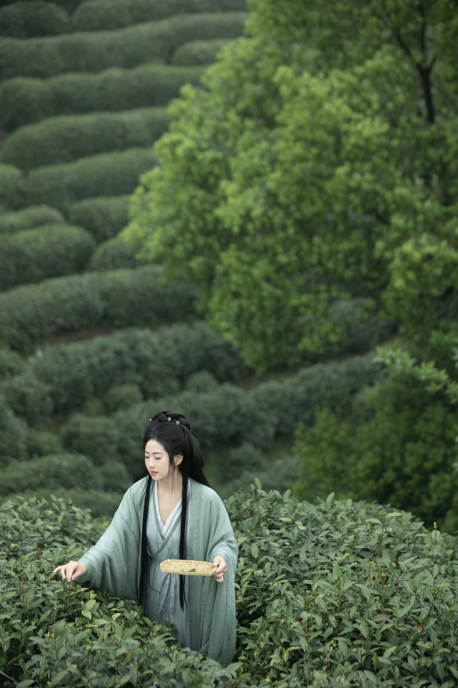 慕夏 – 《明前绿》[29P]