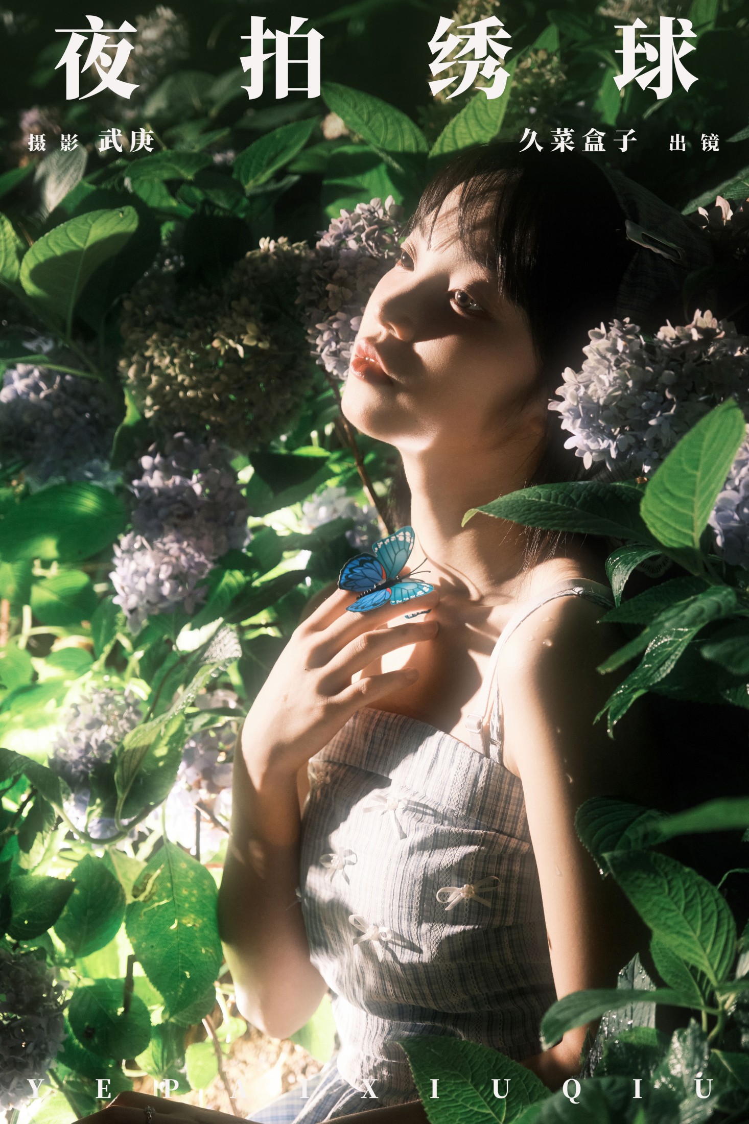 久菜盒子 – 《夜拍绣球》[31P]