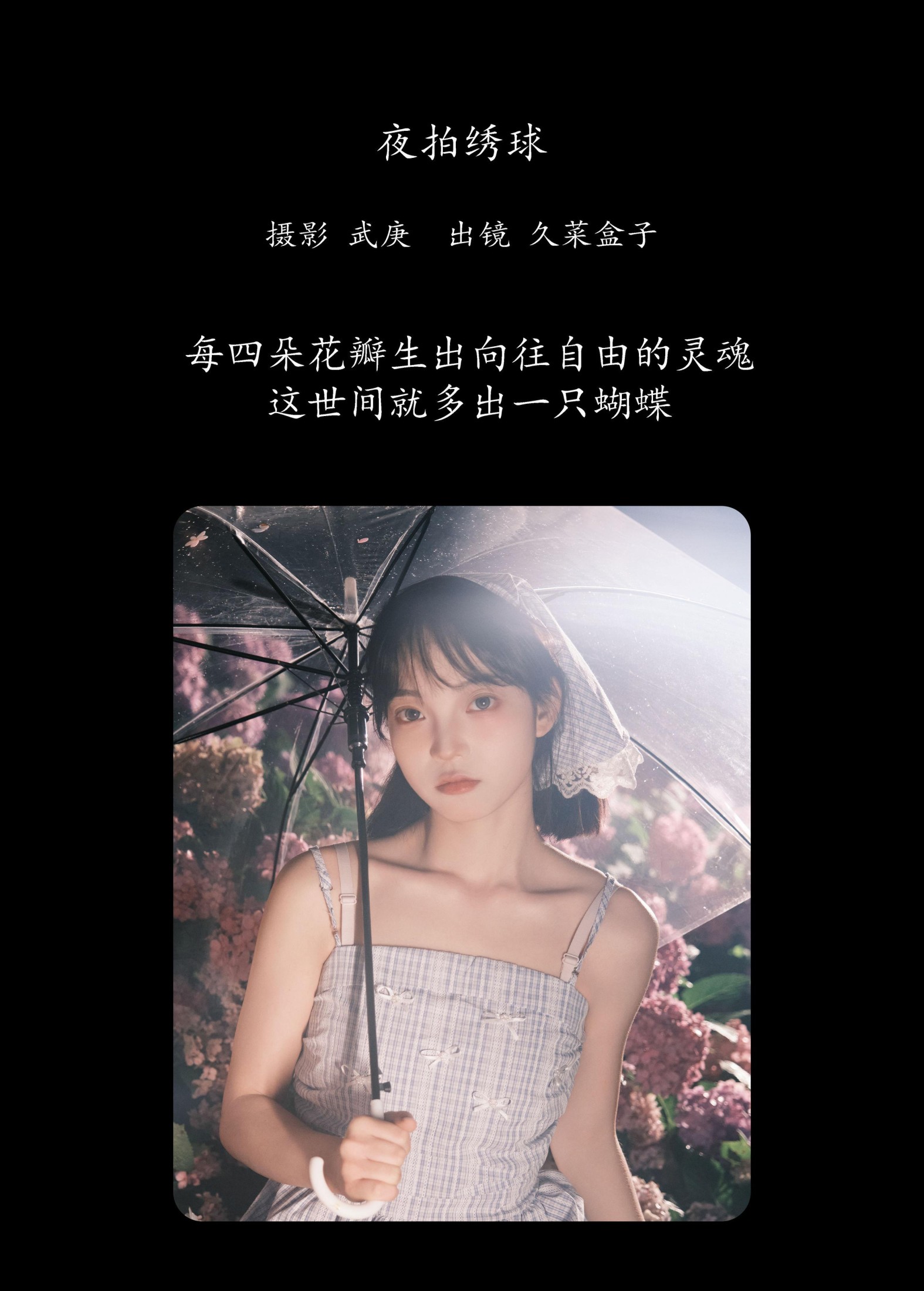 久菜盒子 – 《夜拍绣球》[31P]