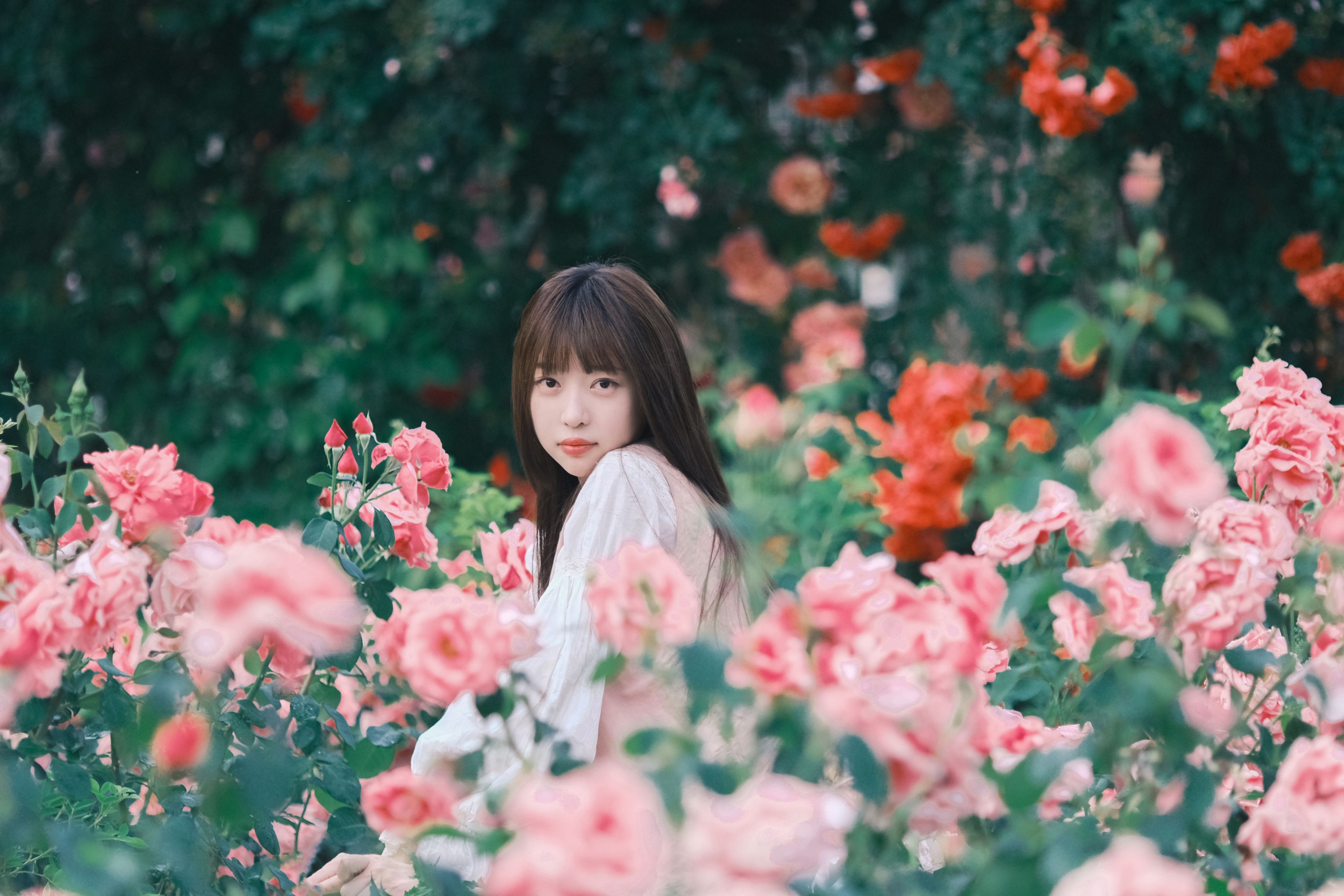 Sweet_t田甜 – 《不止玫瑰有爱意》[22P]