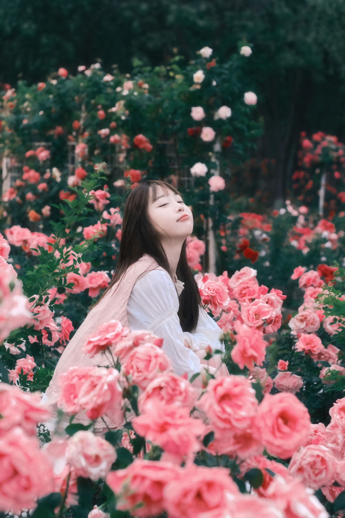 Sweet_t田甜 – 《不止玫瑰有爱意》[22P]