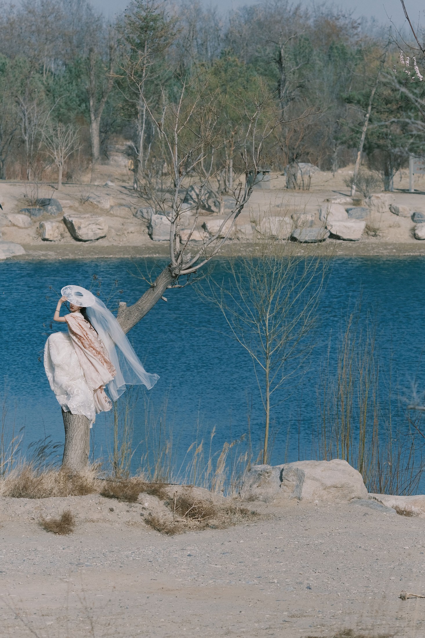 小贝壳请不要放弃 – 《春归候鸟》[24P]