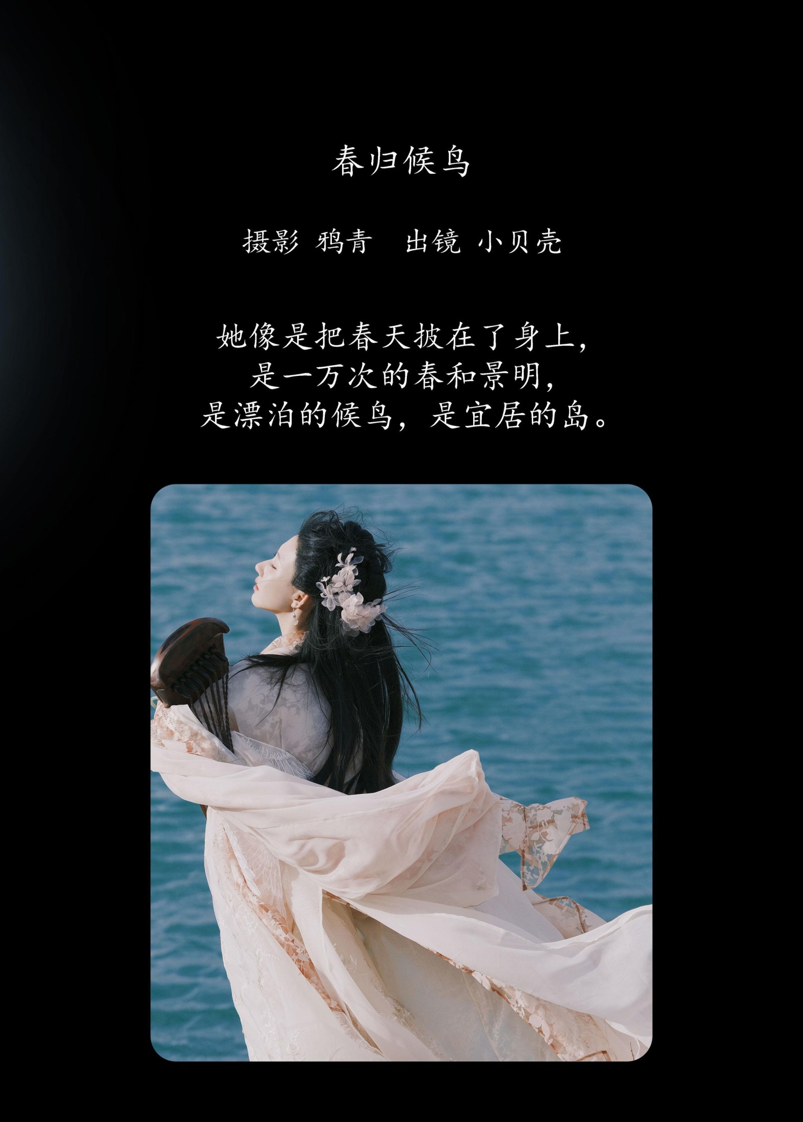 小贝壳请不要放弃 – 《春归候鸟》[24P]