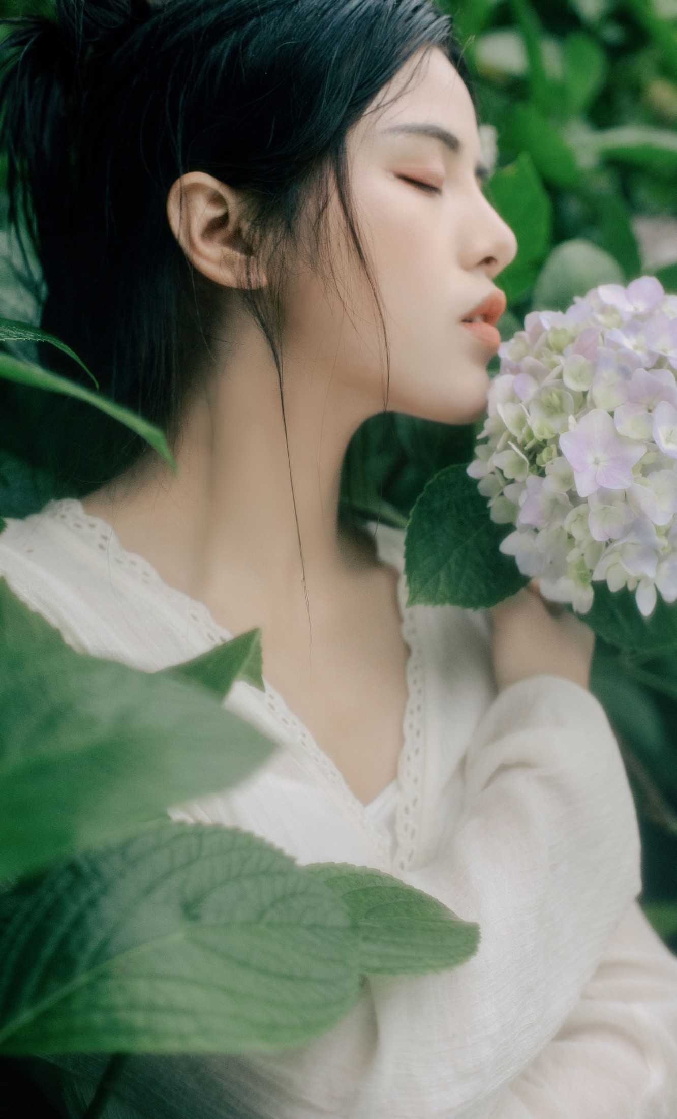 安妮 – 《花开半夏》[24P]